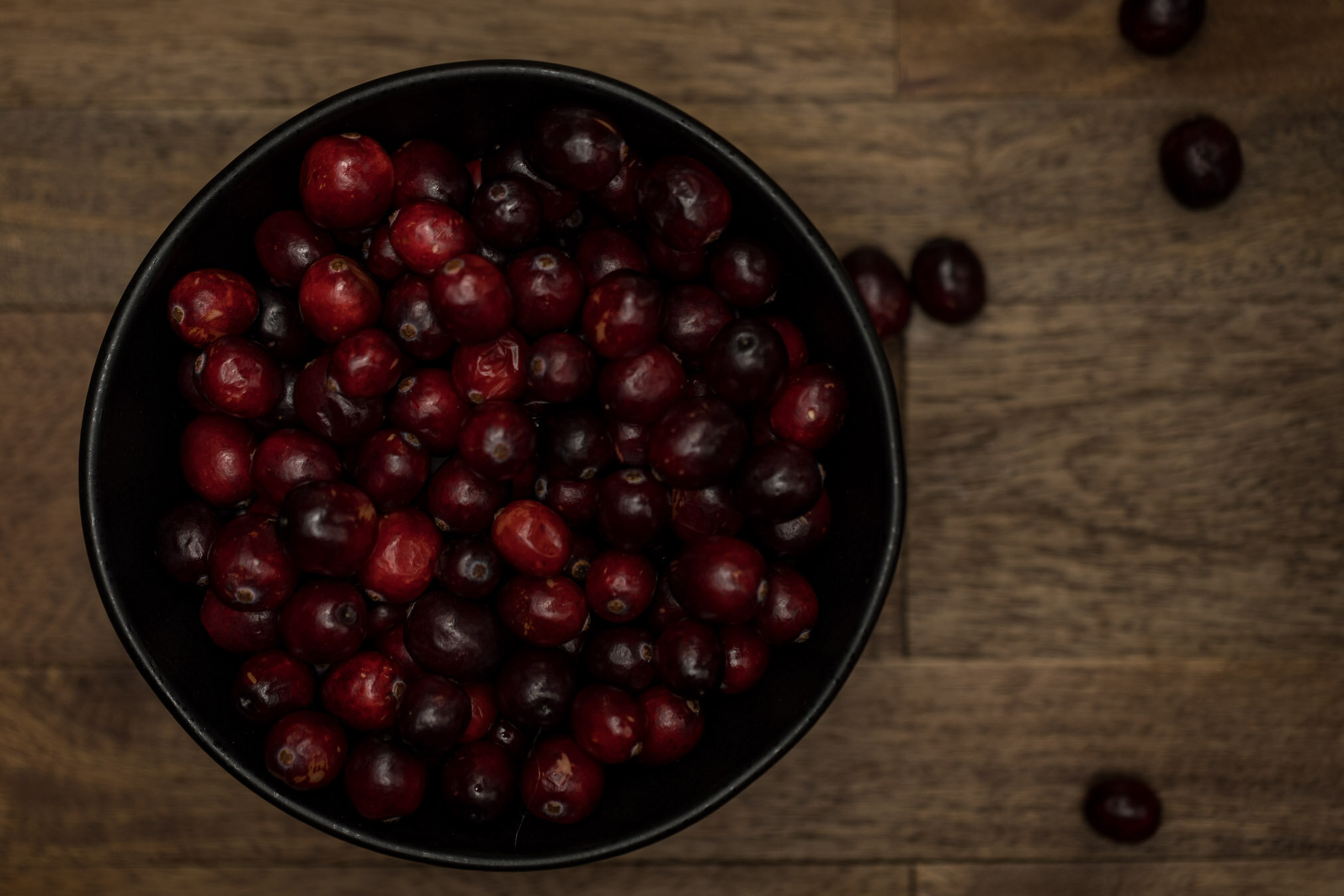dark-moody-cranberries-09-web-Stories-Framed-Photography.jpg