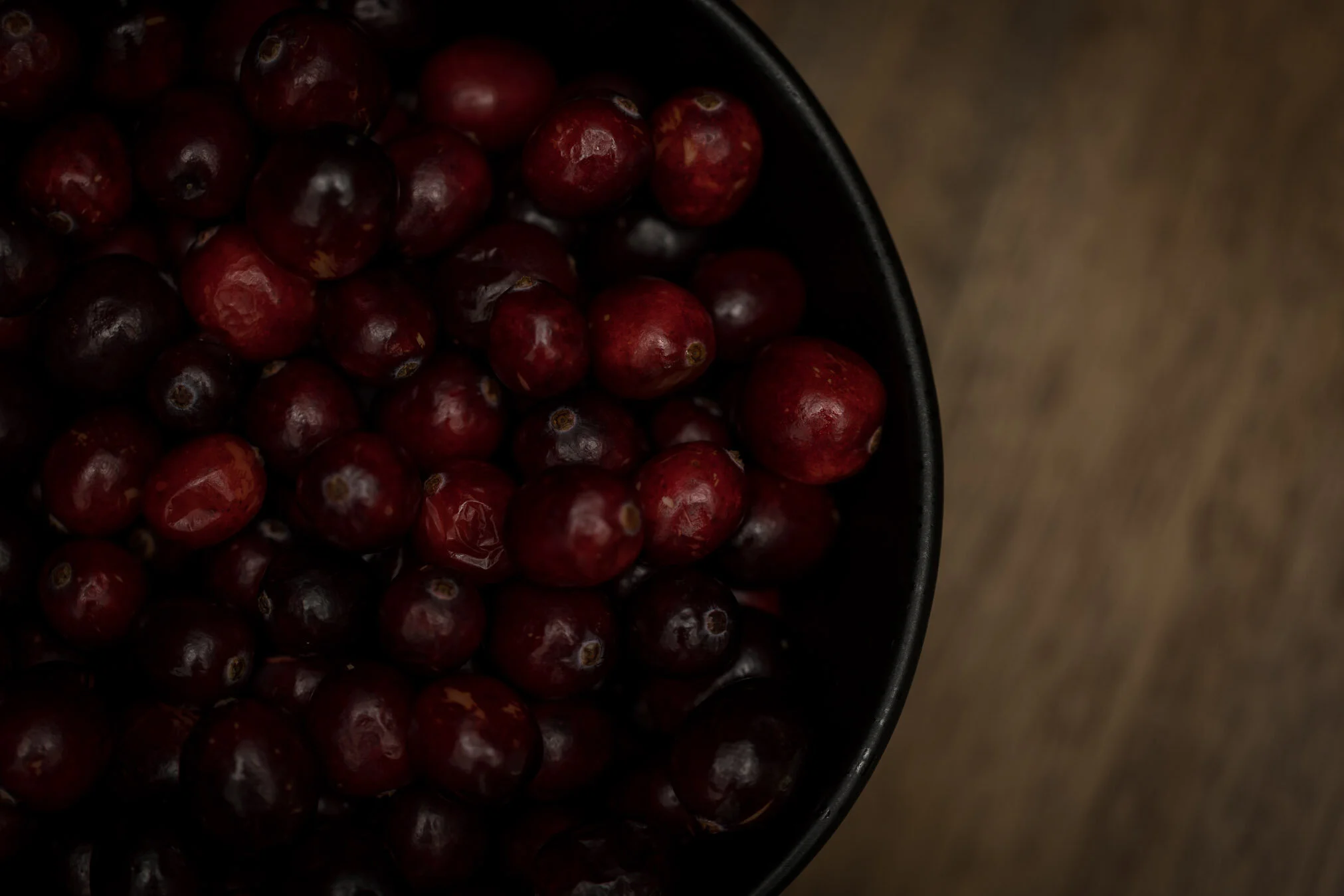 dark-moody-cranberries-10-web-Stories-Framed-Photography.jpg