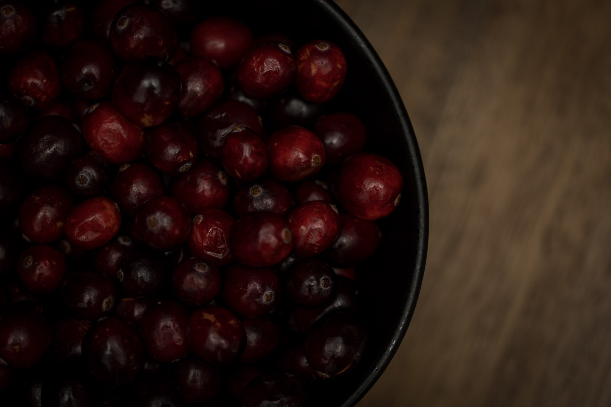 dark-moody-cranberries-10-web-Stories-Framed-Photography.jpg