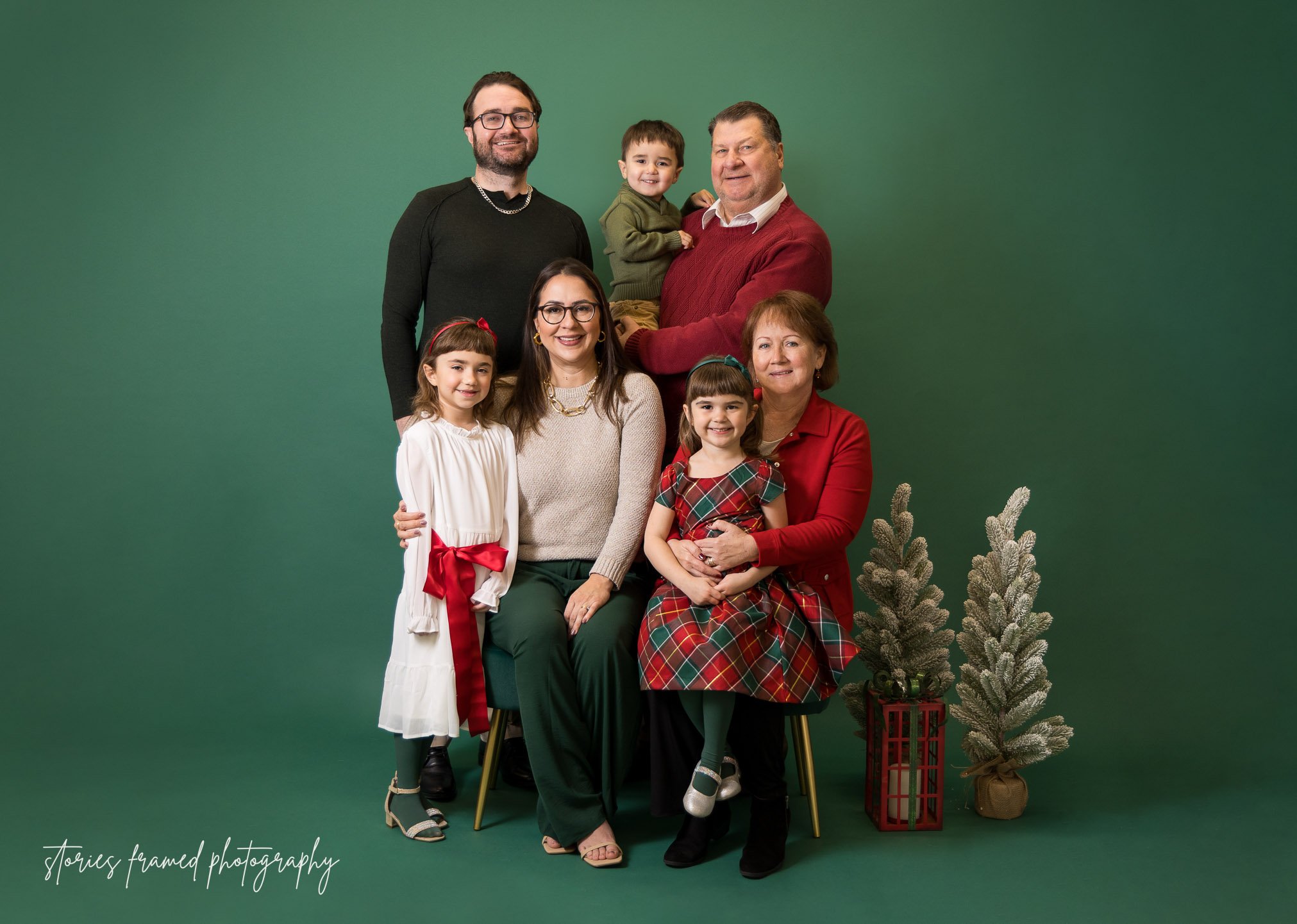 Brookfield-holiday-family-photo-10-Stories-Framed.jpg
