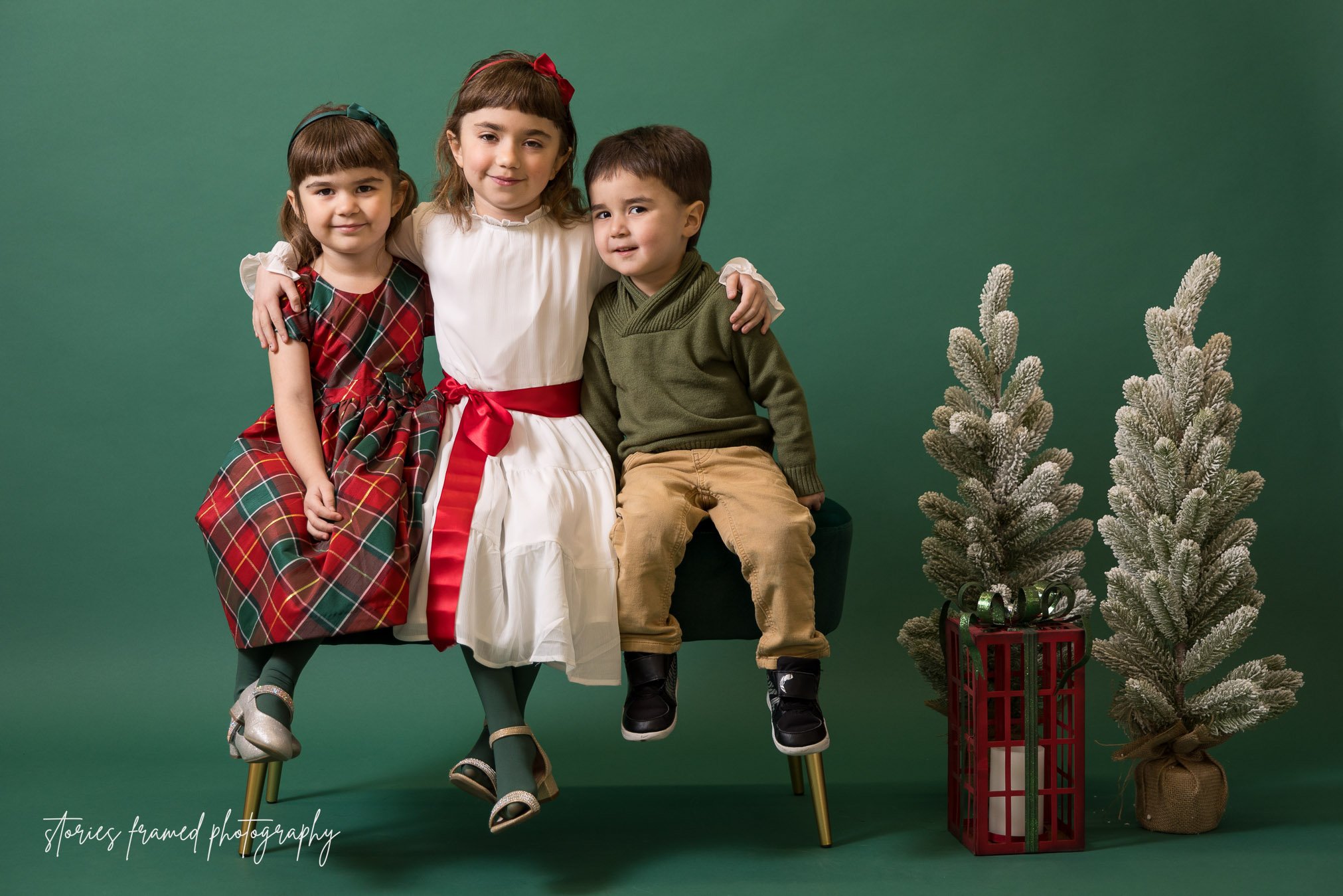 Brookfield-holiday-family-photo-01-Stories-Framed.jpg