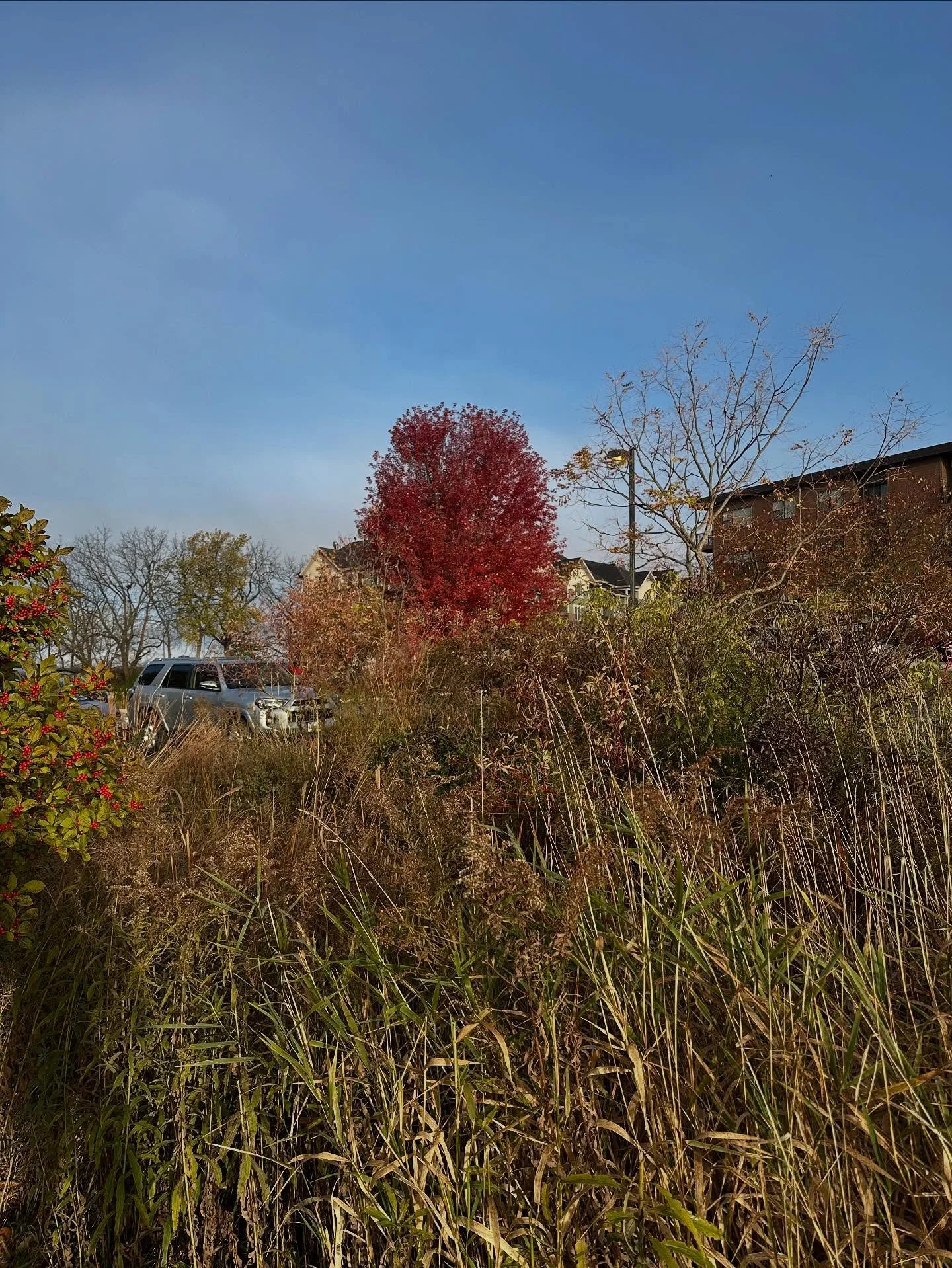 Fall is absolutely delicious at my studio!

#1848waldorfveterinarycare 
@sondelfamilyvetclinic 
@irongateequineclinic 
@edingersurgical 
@madisoncaninerehab