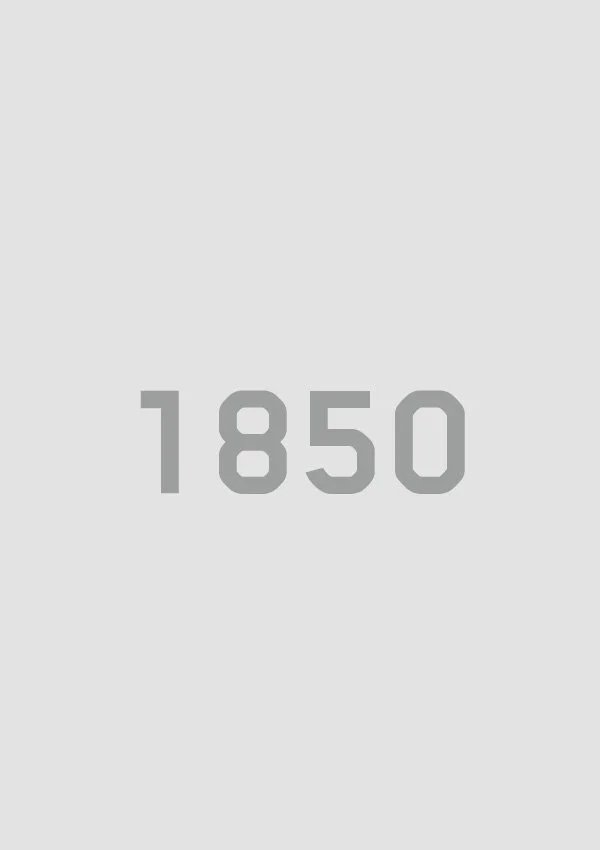 1850: Die alliierten Truppen