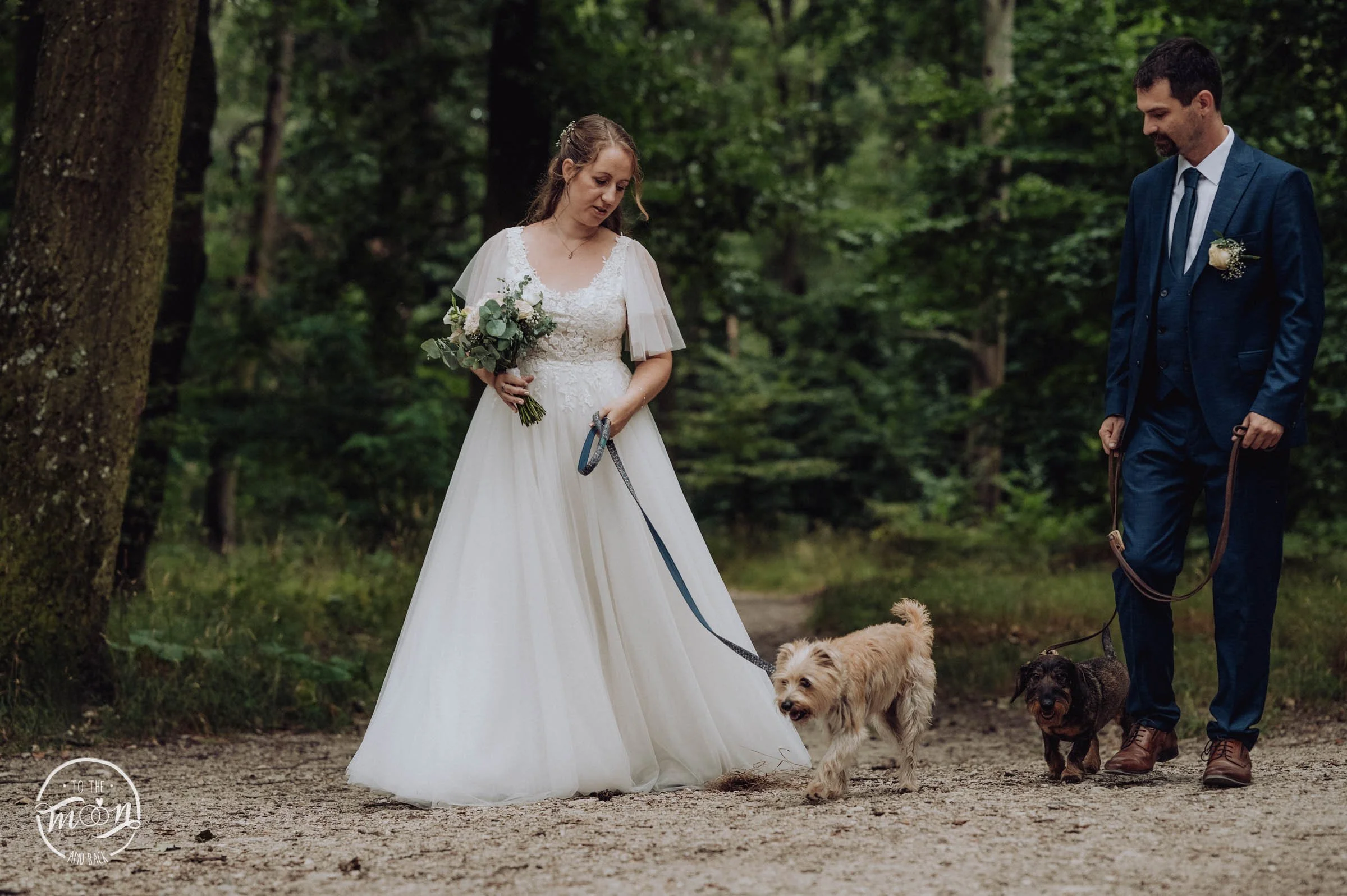 DSC_4355_resize (1).jpg