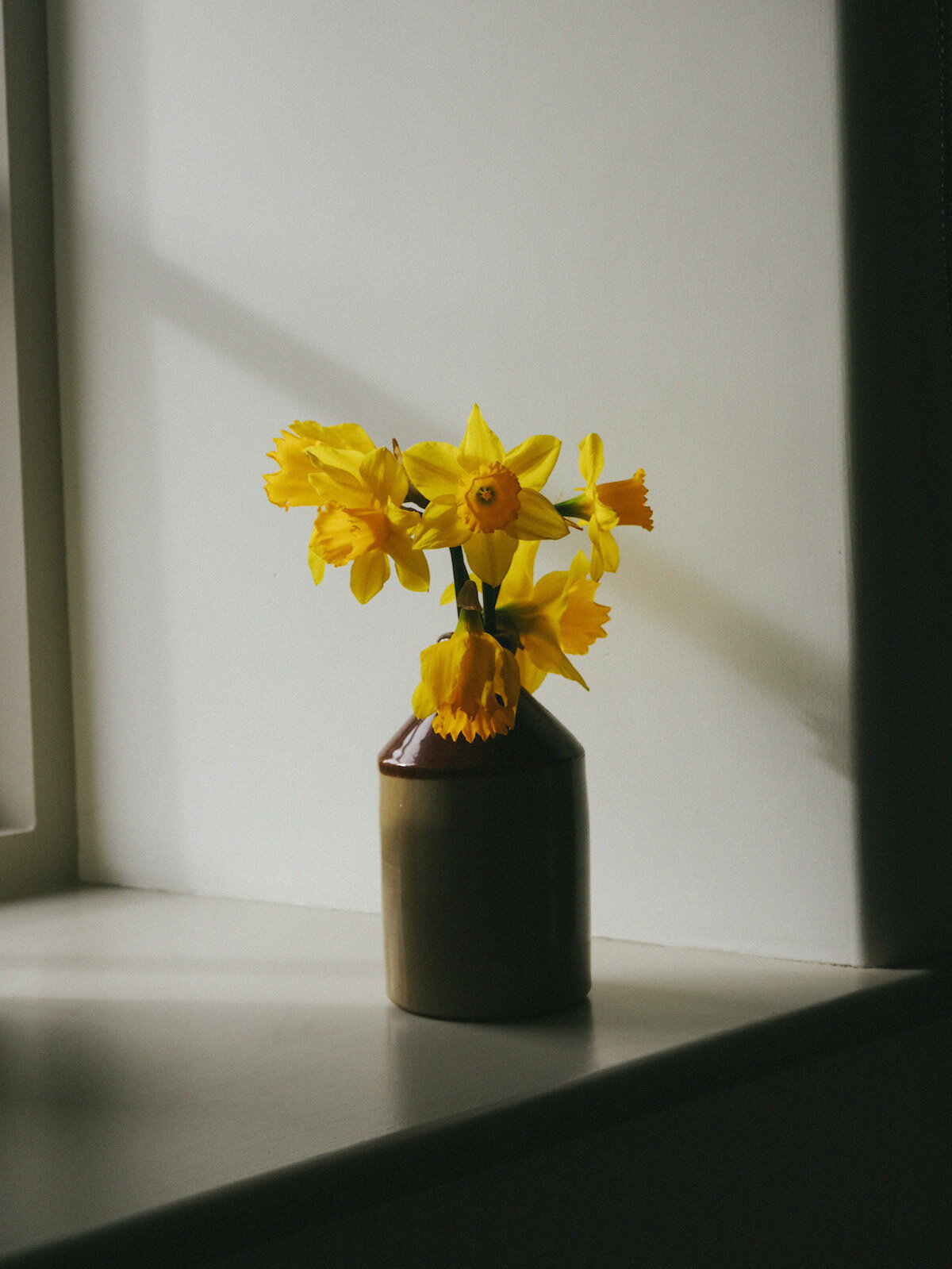 Daffodils in a cottage in the Peak District