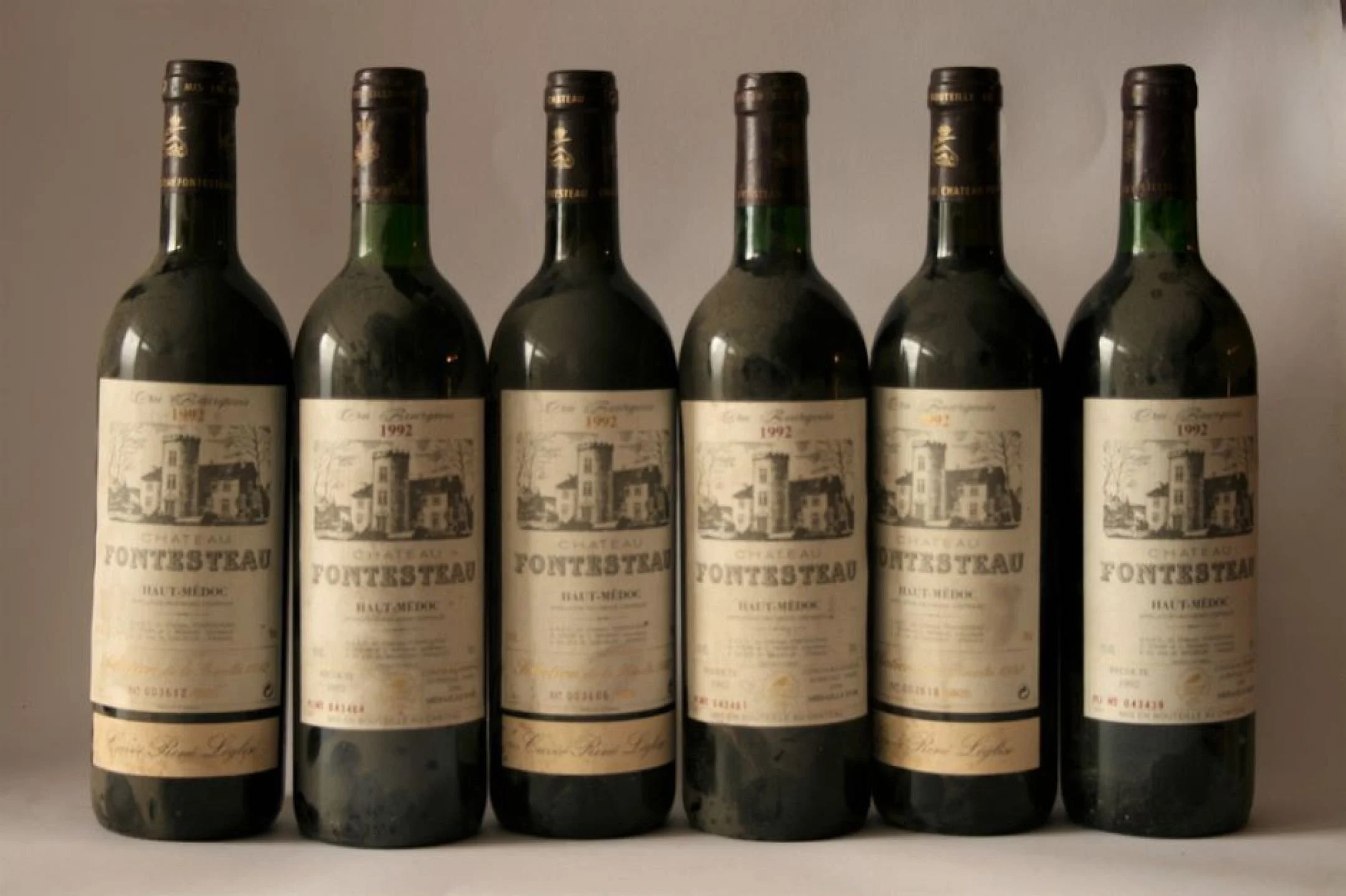 Pépites du Château Fontesteau