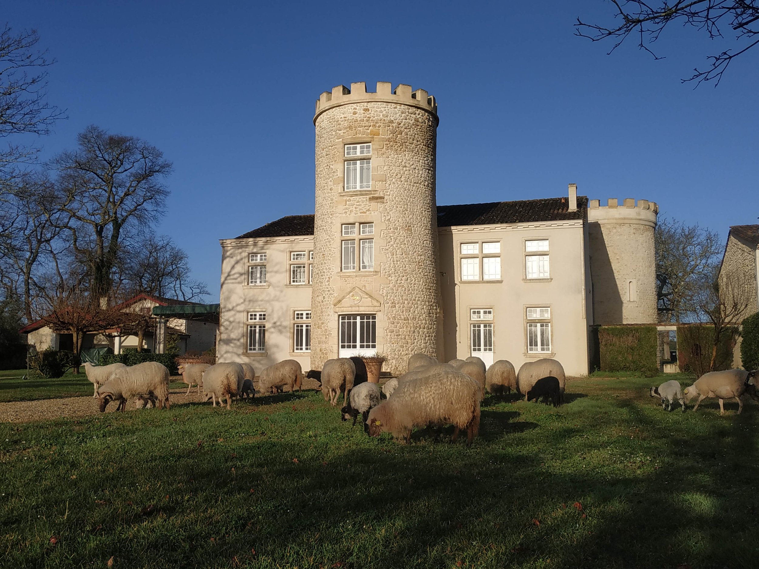 brebis chateau fontesteau