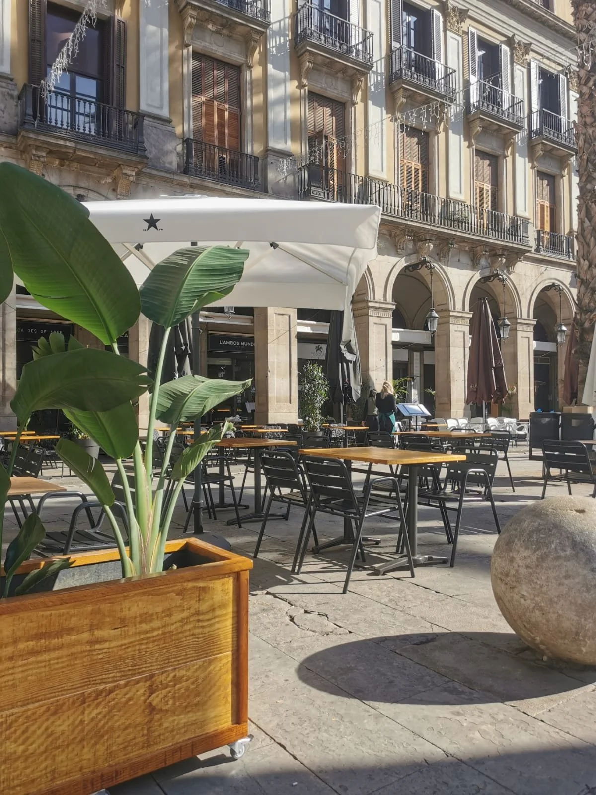 Terraza restaurante mesas madera maciza