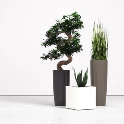 Why do you need artificial plants in your office?
