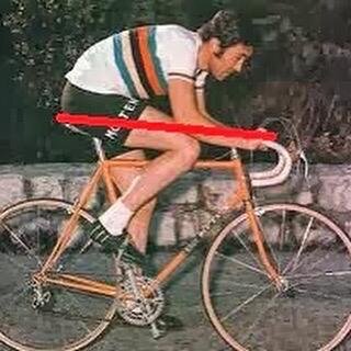 Merckx 1.jpeg