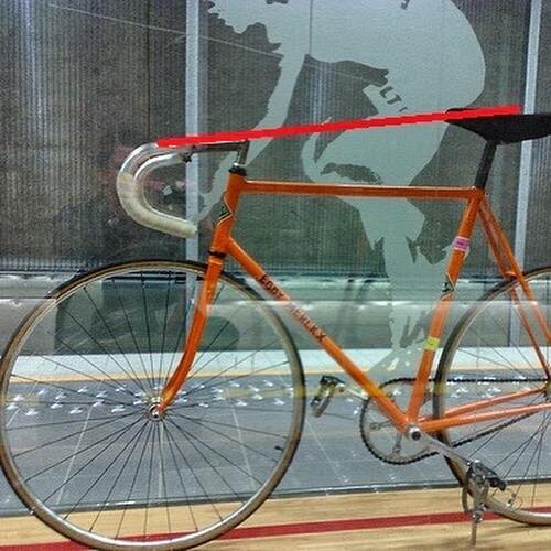Merckx 2.jpeg