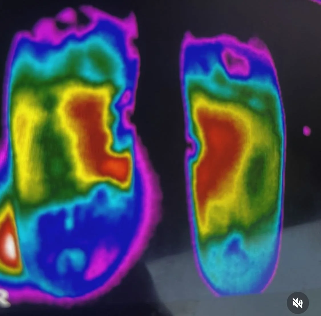 WhatsApp Image 2025-12-27 at 15.51.08 (10).jpeg