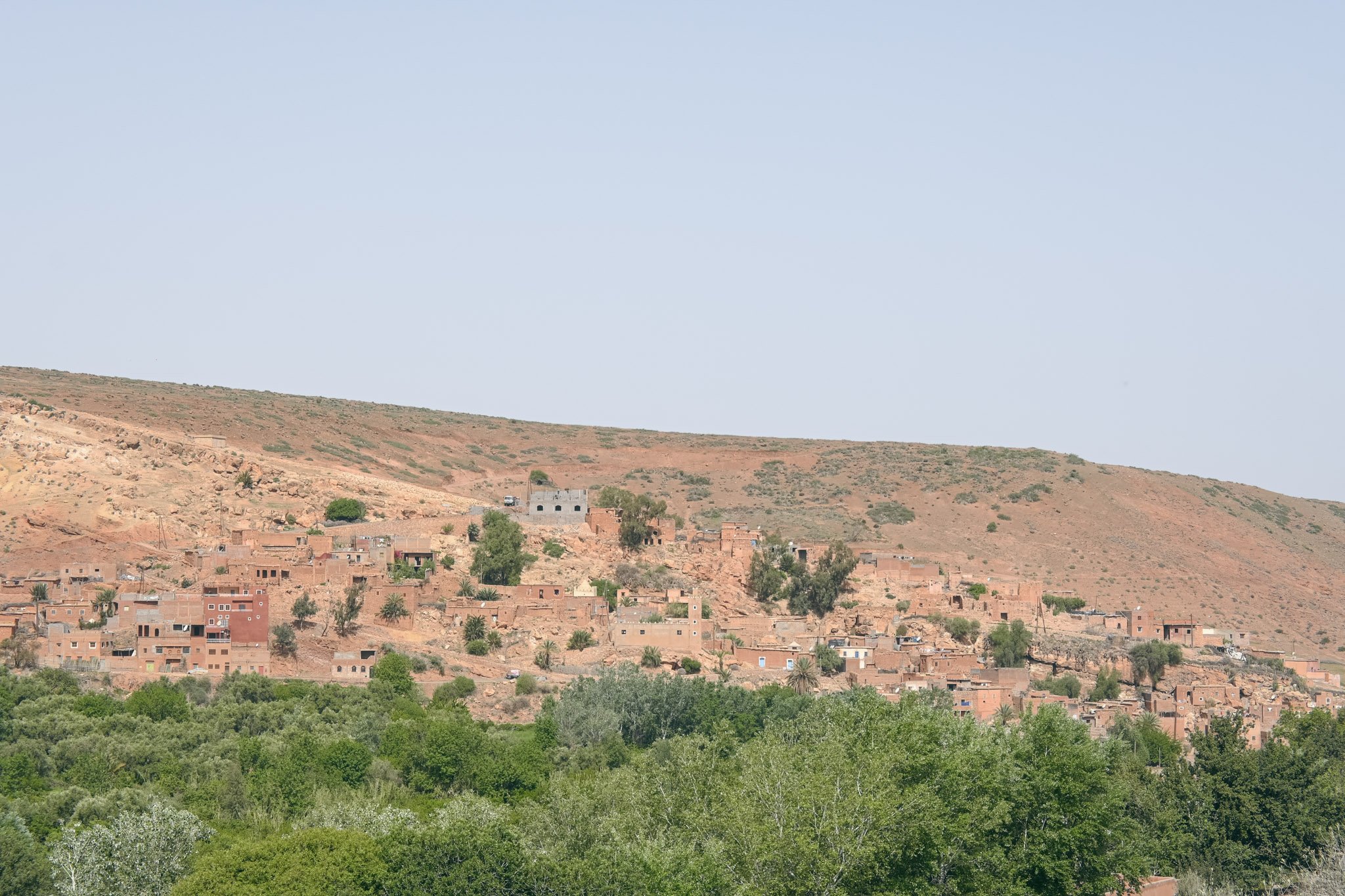 DSC_5480.jpg