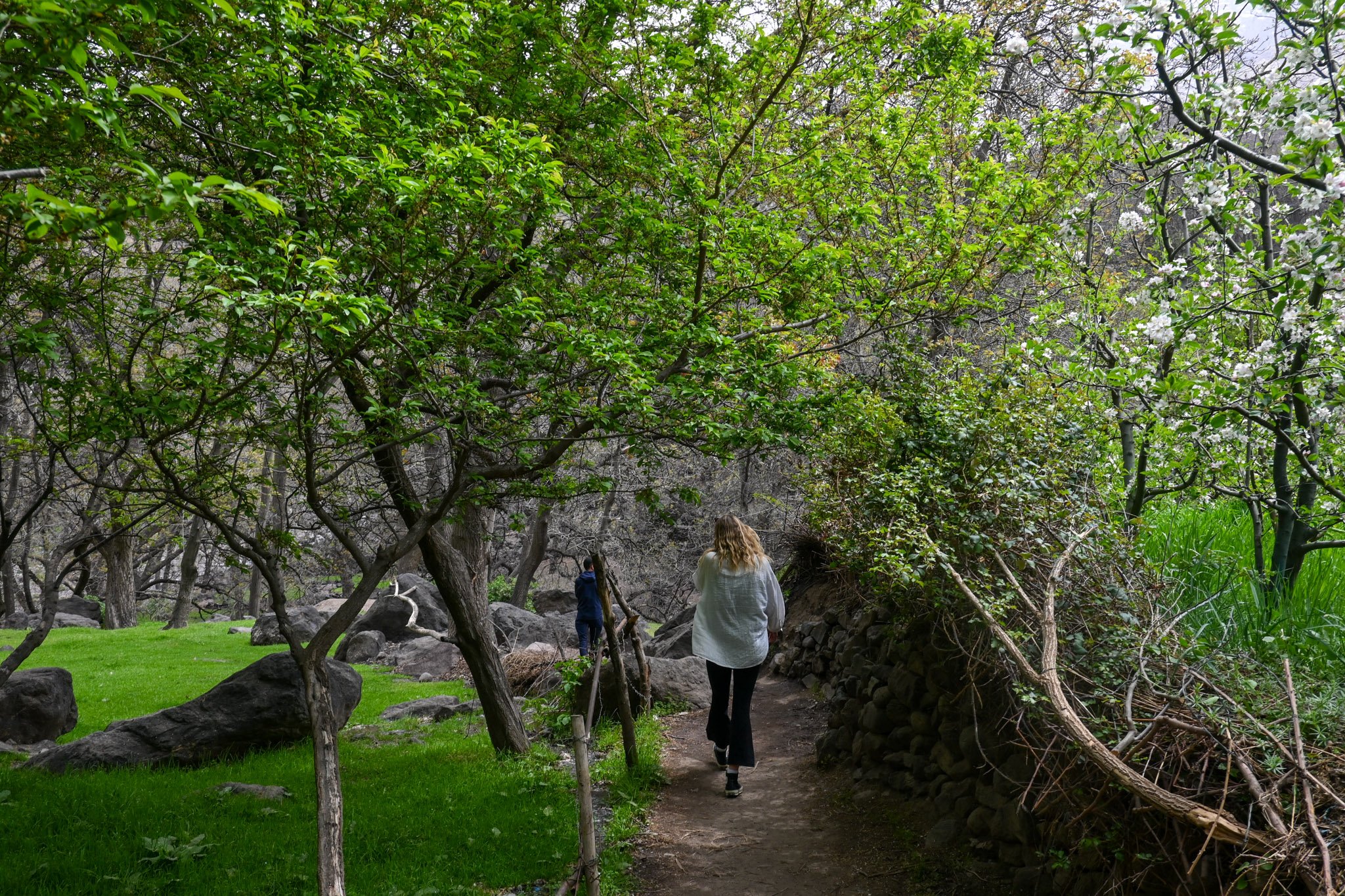 DSC_5614.jpg