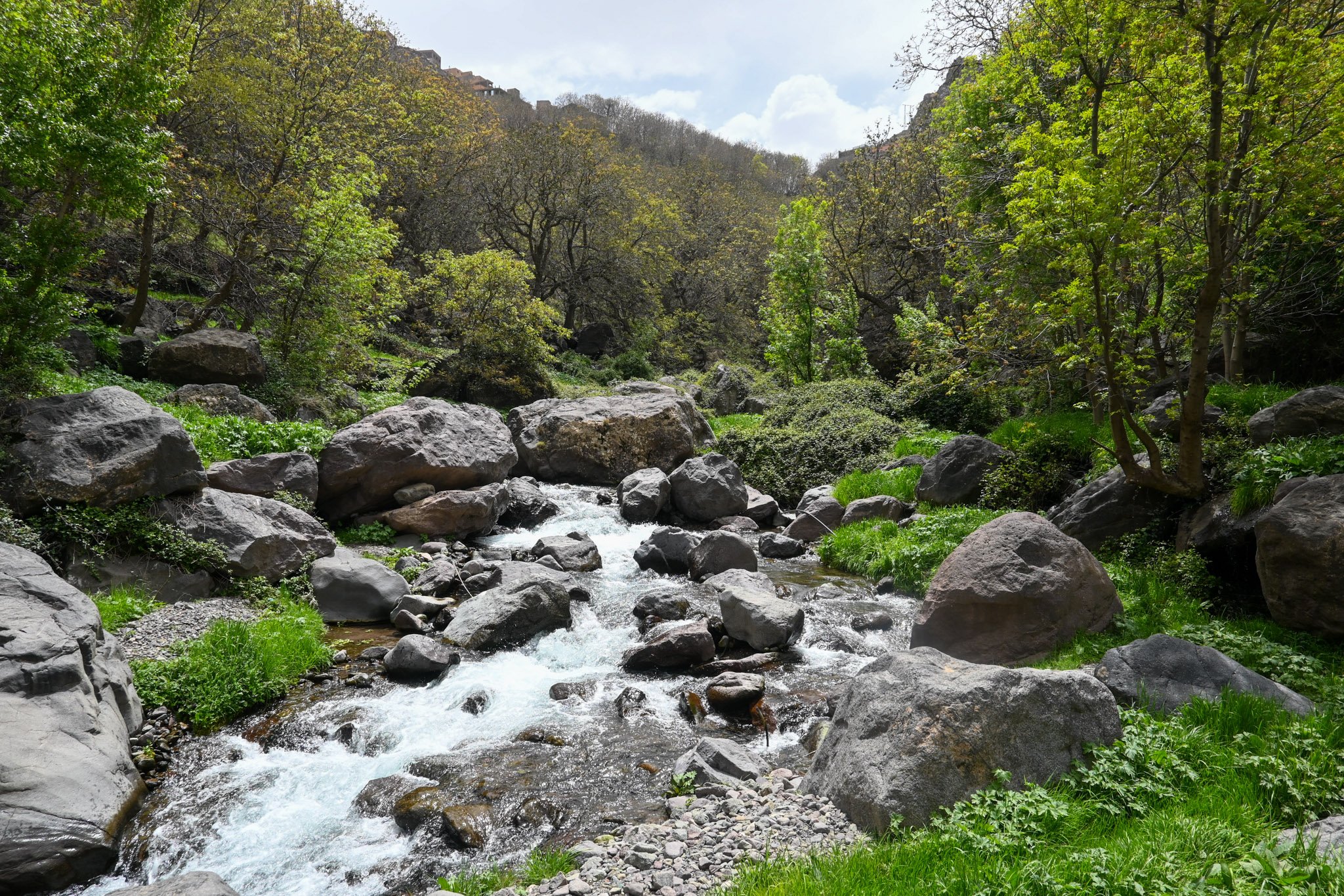 DSC_5618.jpg