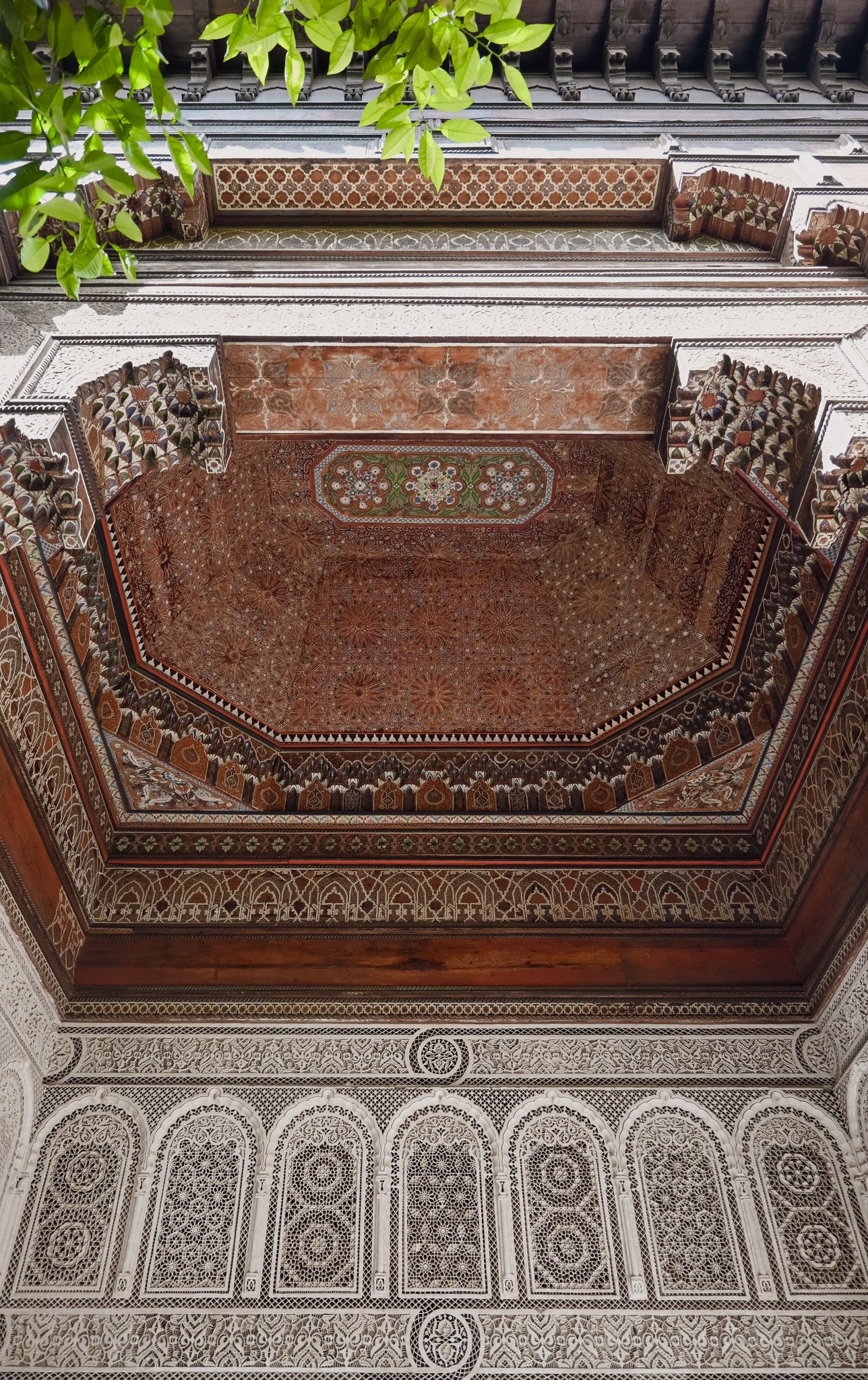 DSC_5655.jpg