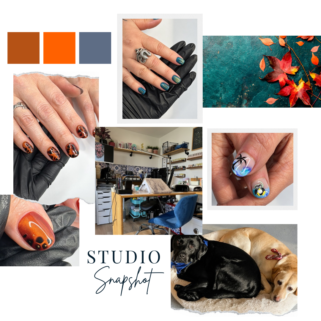 Studio snapshot