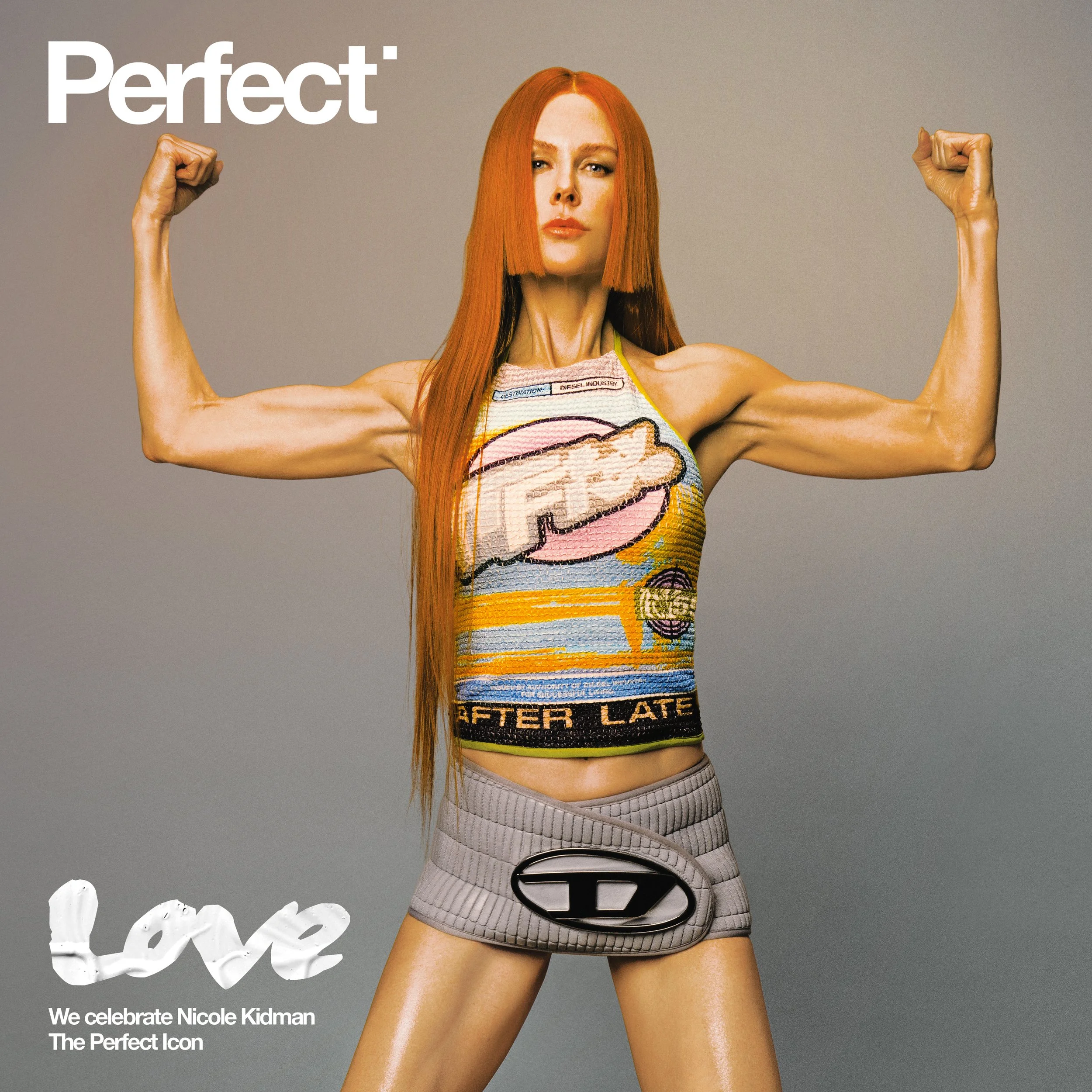 000 PERFECT 03- COVERS FOR DIGI 11GR19.jpg