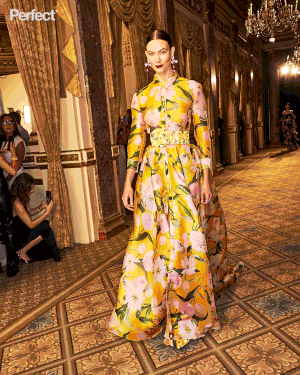 Carolina Herrera: Optimism in Dark Times NYFW — Perfect˙