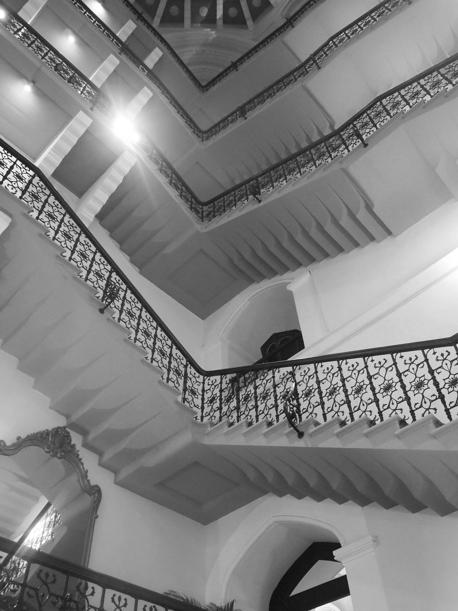 P1010444.jpg