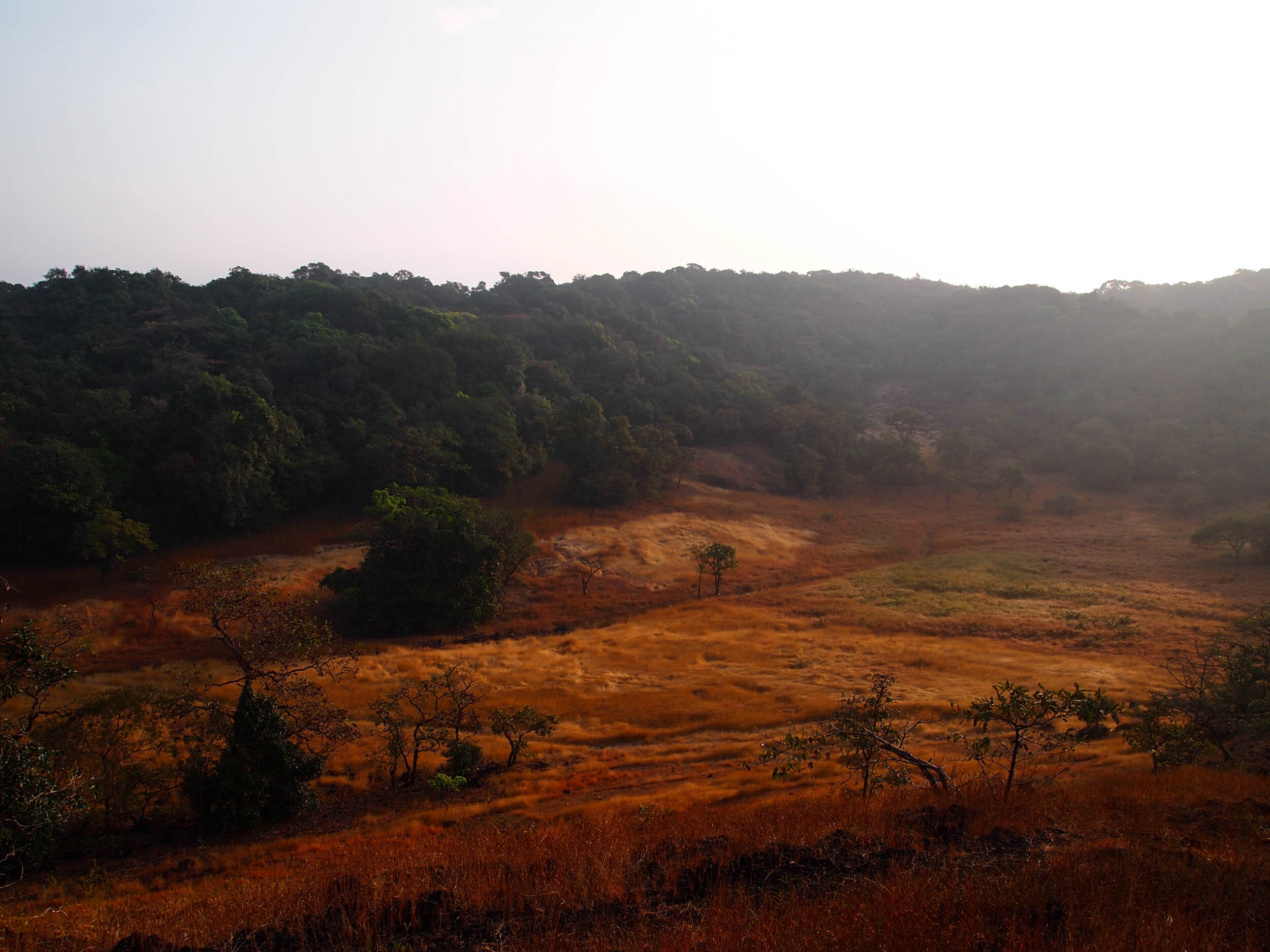 P1010823.jpg