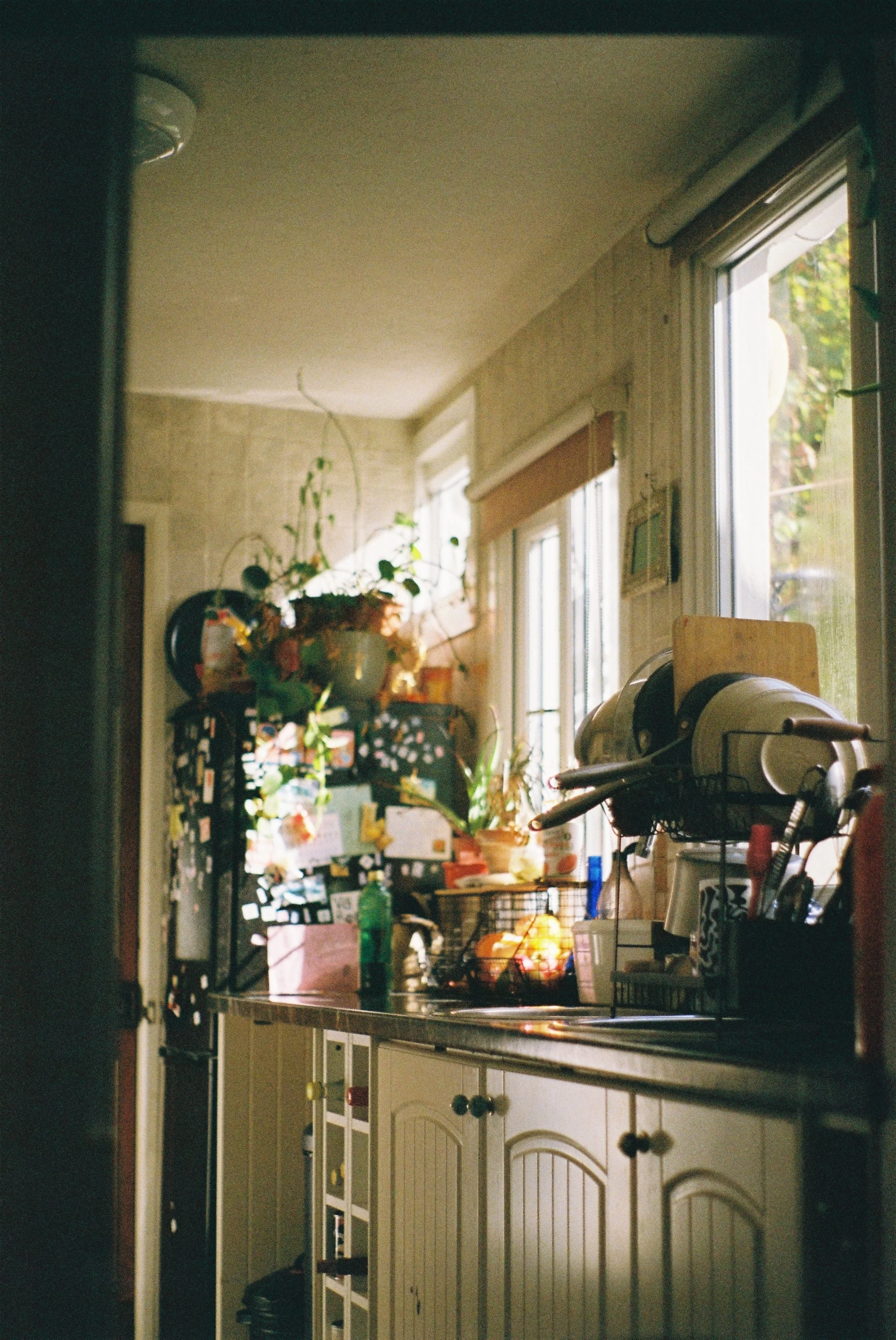 A029313-R1-07-27A.JPG