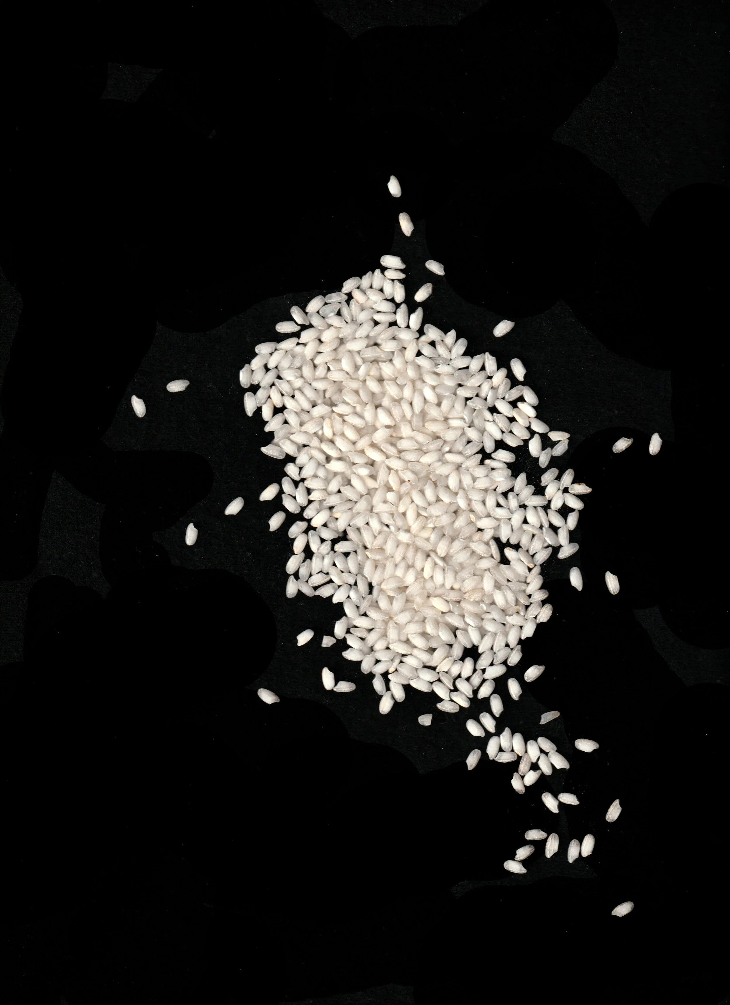 rice1.jpg