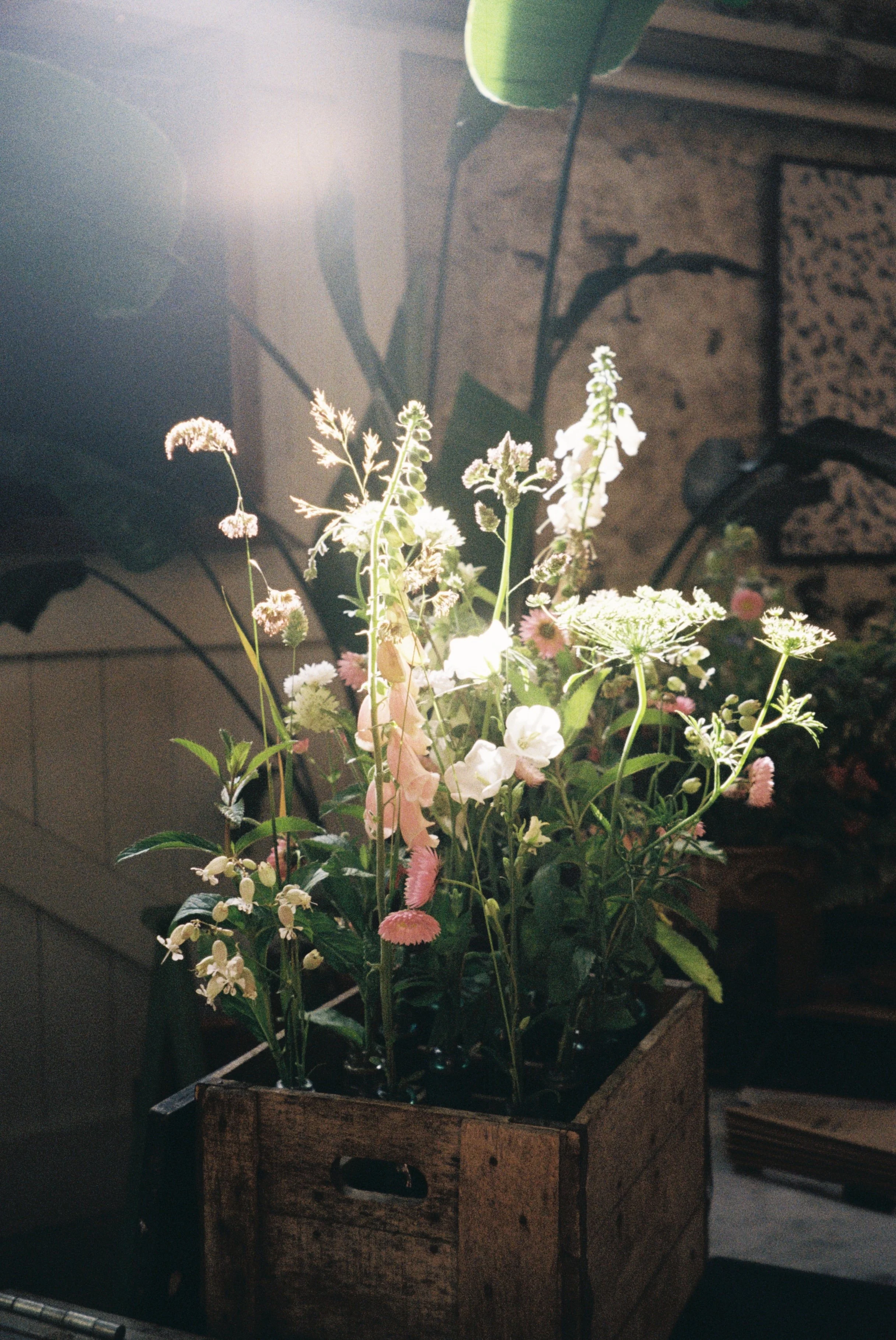A028233-R1-33-2A.JPG