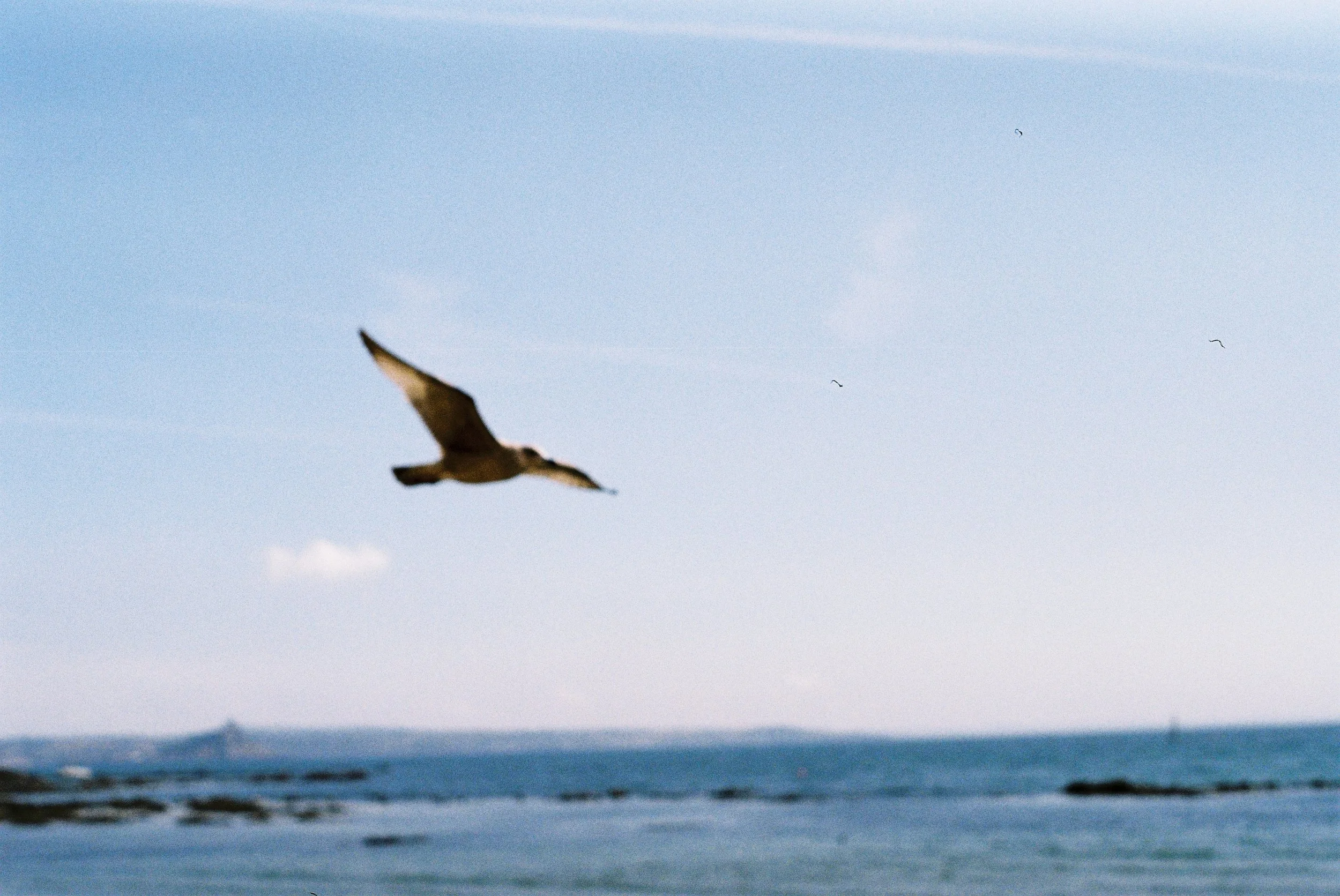 A028820-R1-26-6A.JPG