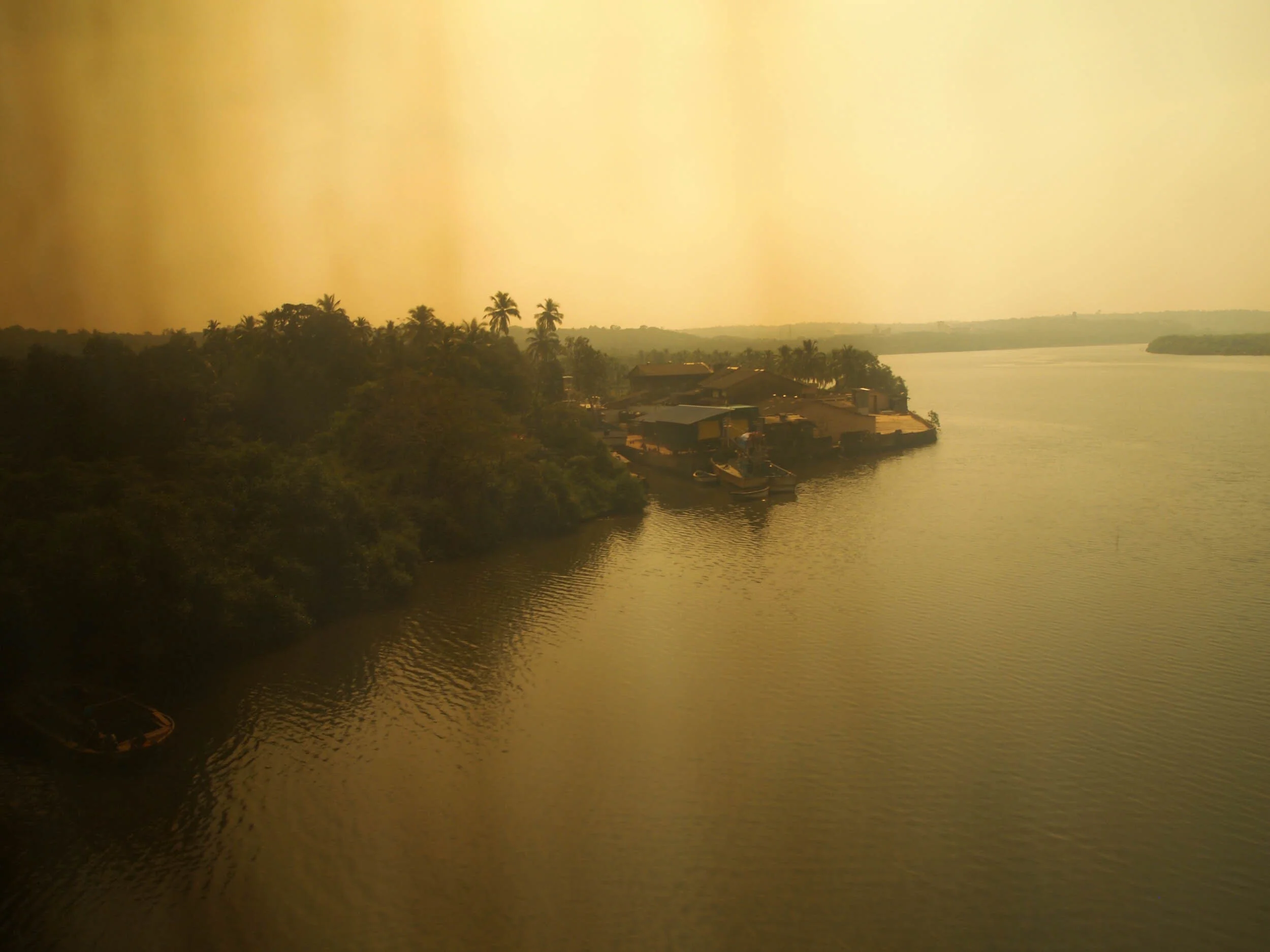 P1010205.jpg