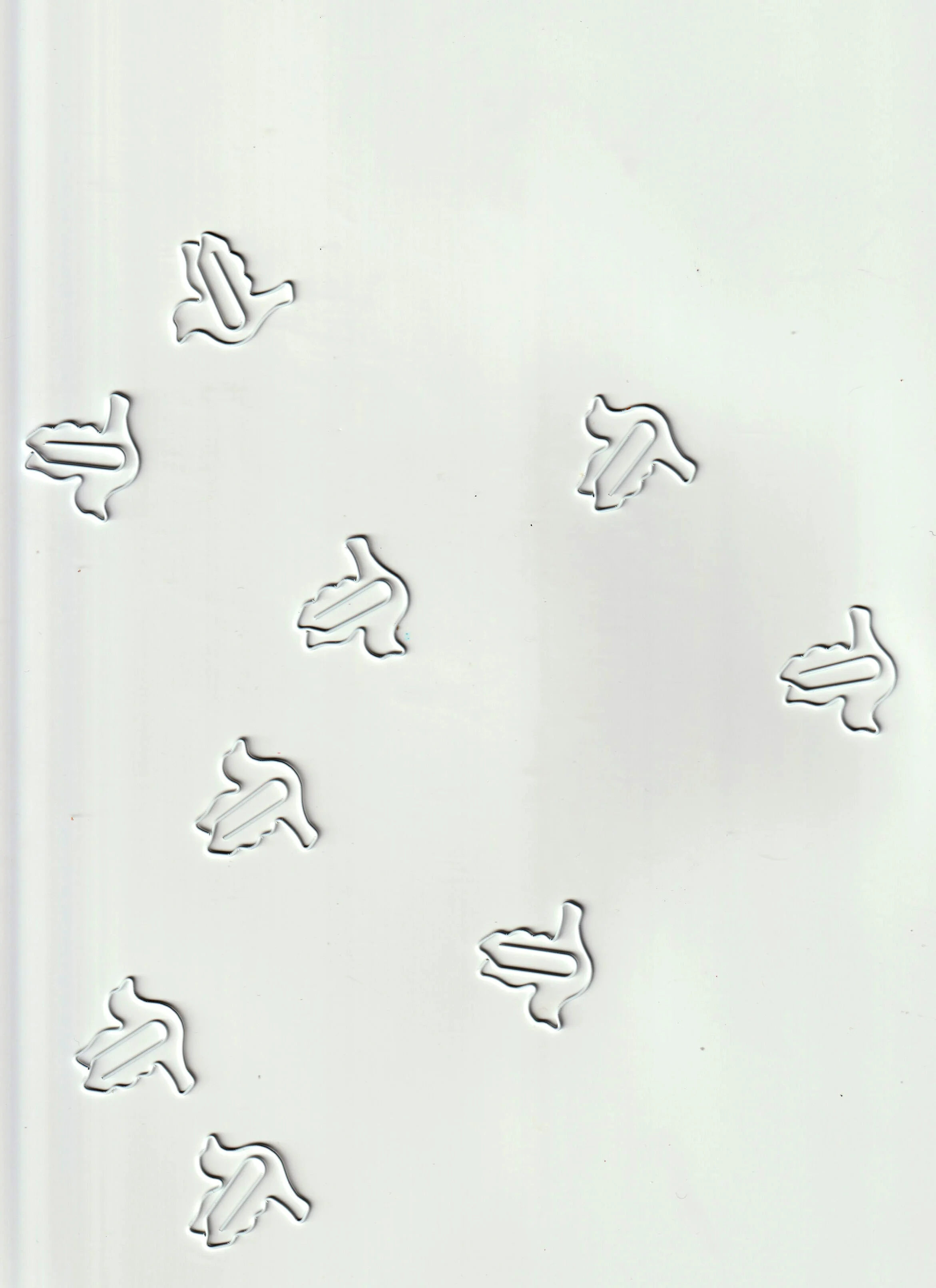 birds2.jpg