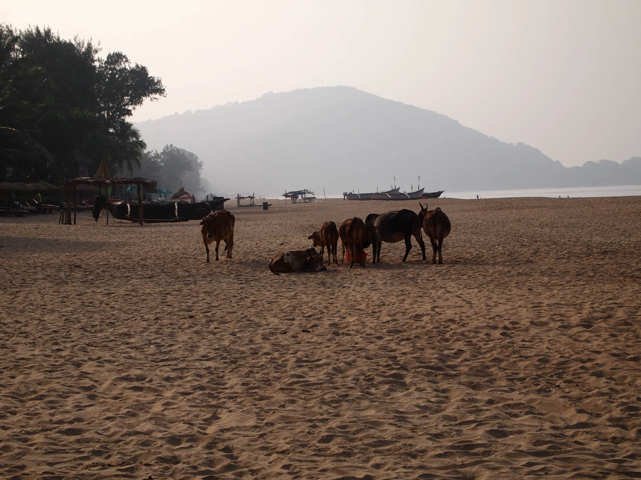 P1010291.jpg