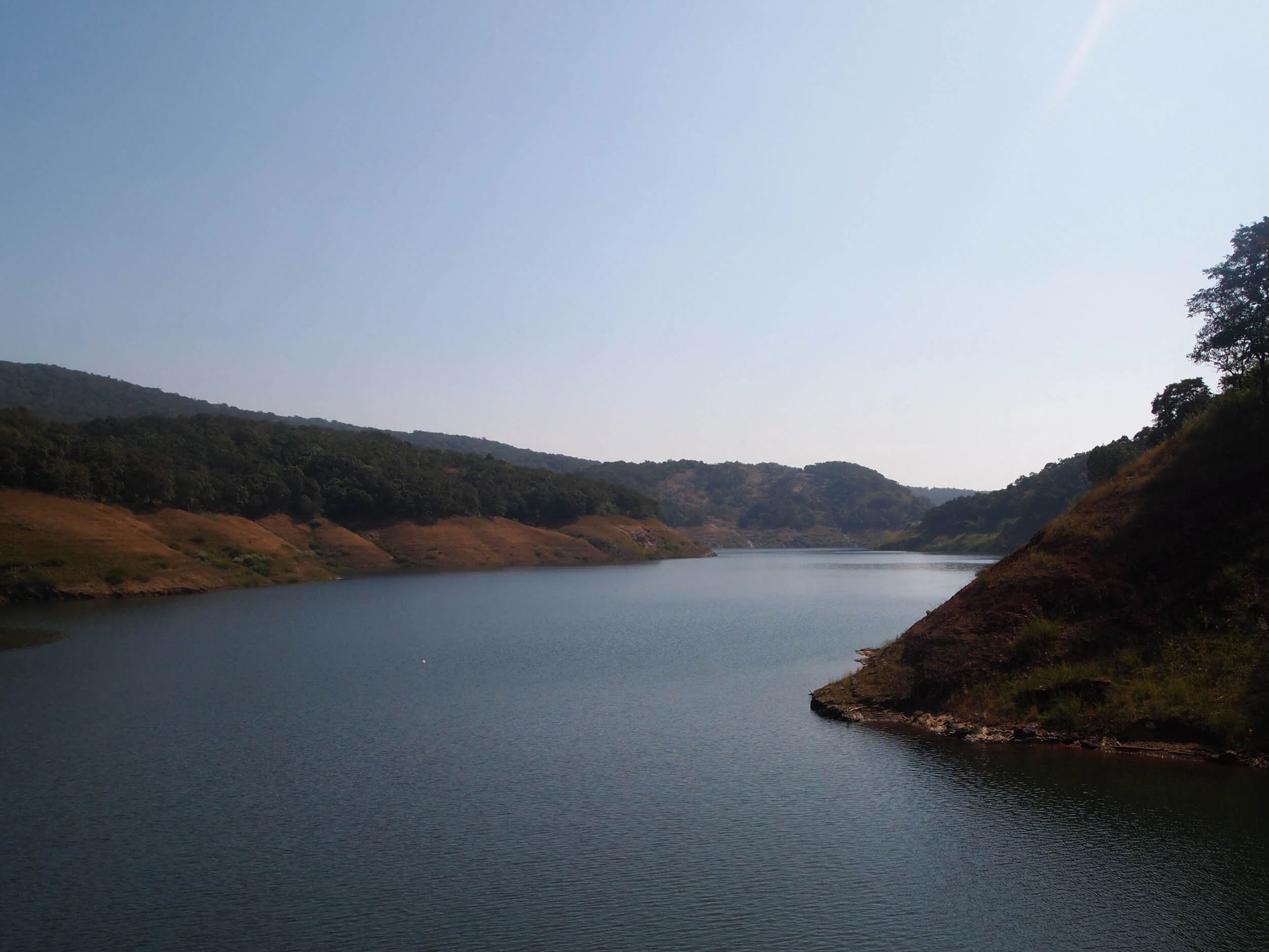 P1010876.jpg