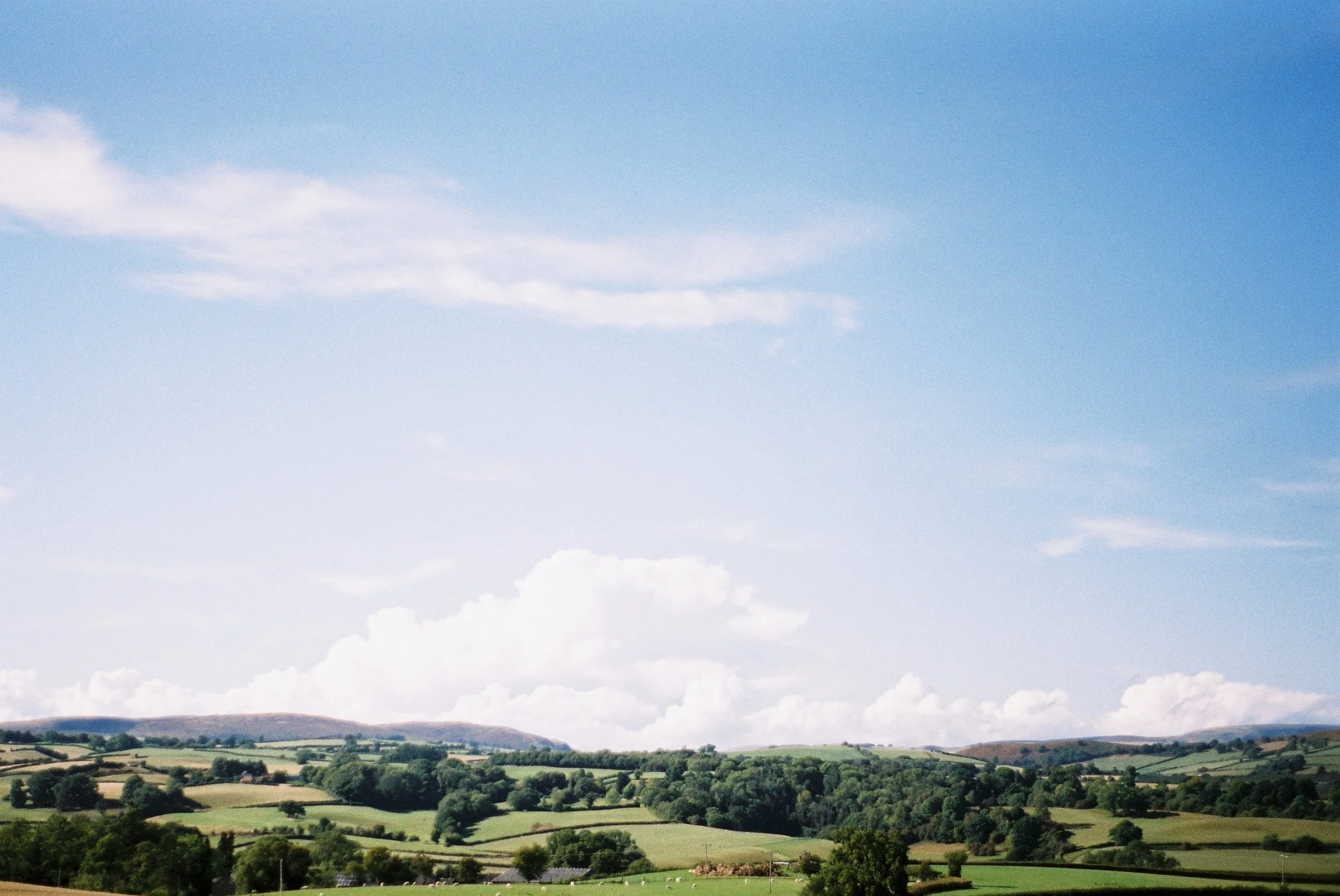 A028820-R1-04-31A.JPG