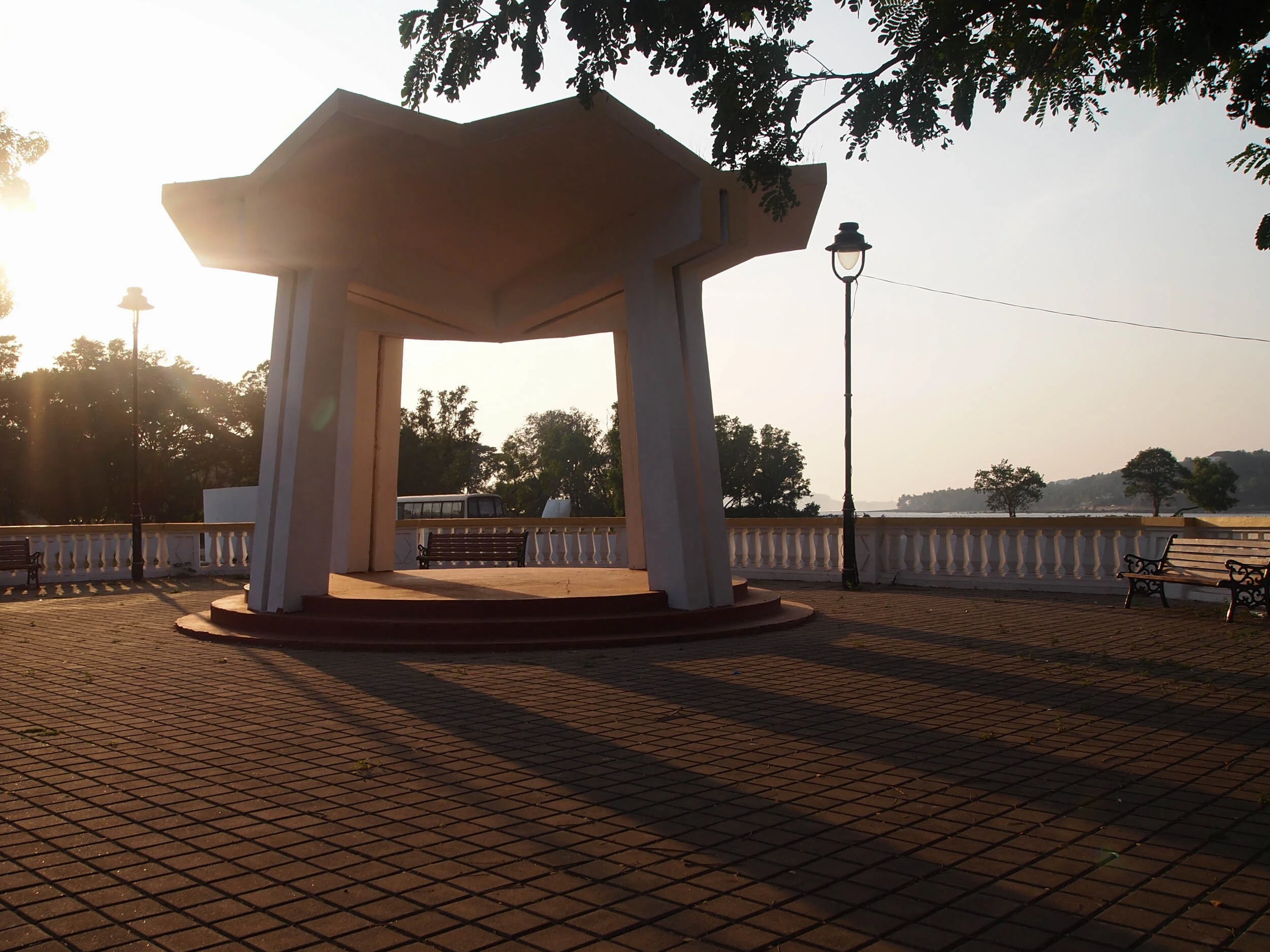 P1011163.jpg