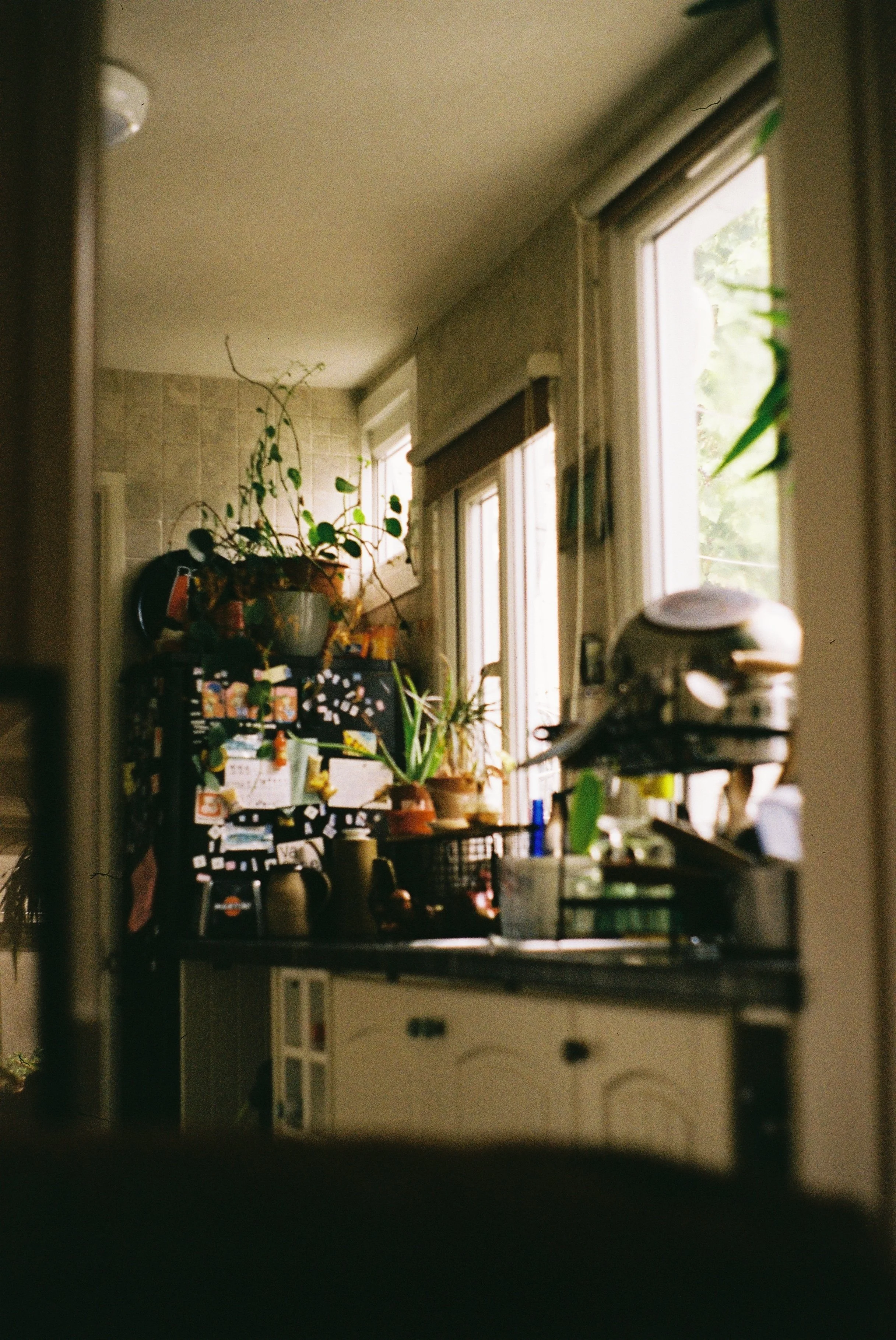 A028820-R1-28-3A.JPG