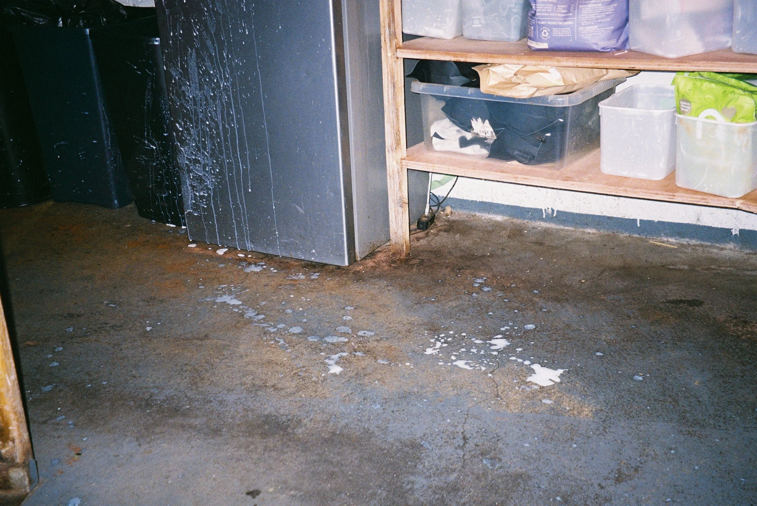 A028710-R1-24-12.JPG