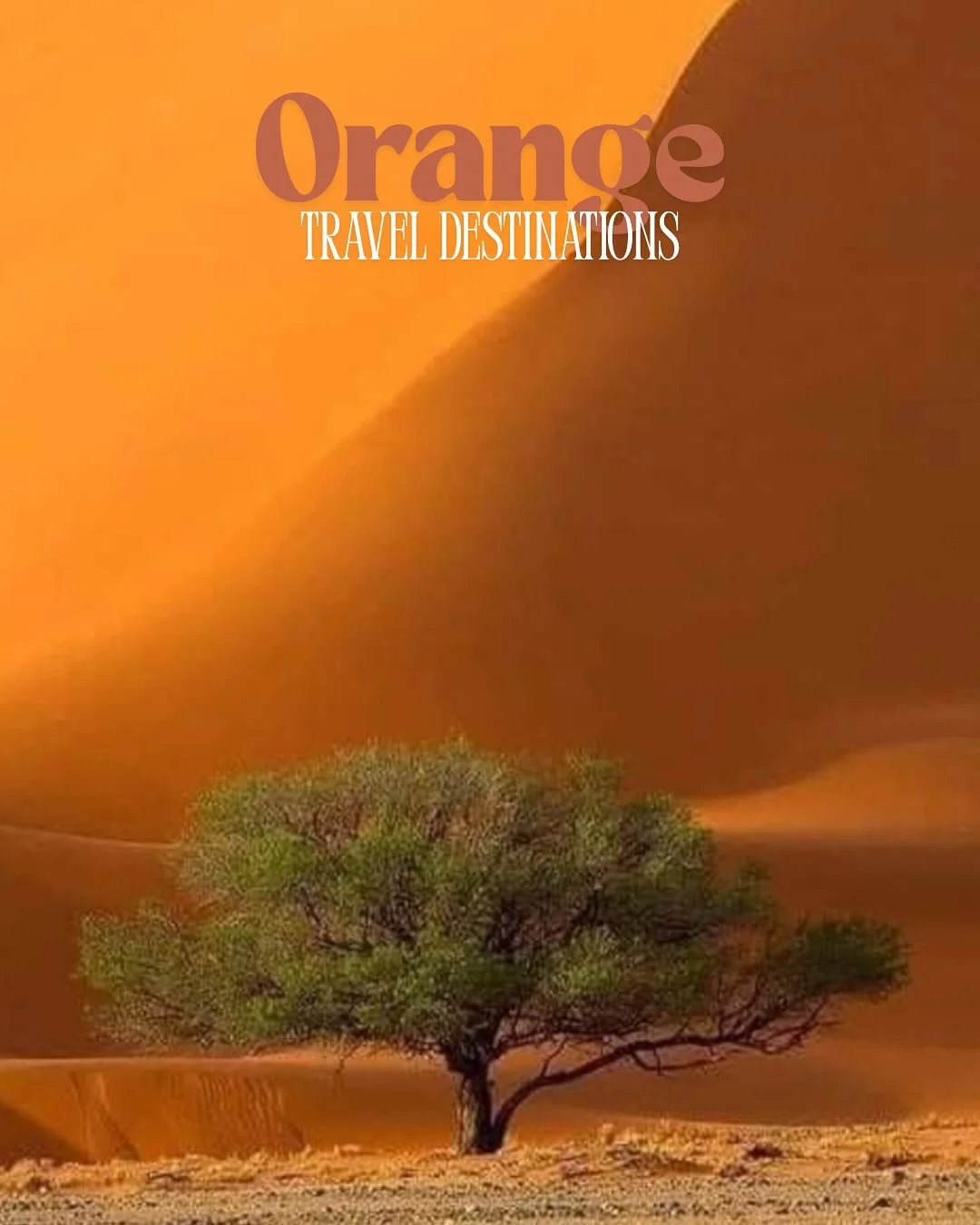 Desert dunes or flower fields?🧡⬇️

AFRICA 
&bull; Guelta d&rsquo;Archei - Chad
&bull; Sossusvlei - Namibia 

EUROPE 
&bull; Siena - Italy 

ASIA 
&bull; Wadi Rum - Jordan 

SOUTH AMERICA 
&bull; Cartagena Old Town - Colombia 
&bull; Cafayate - Argen