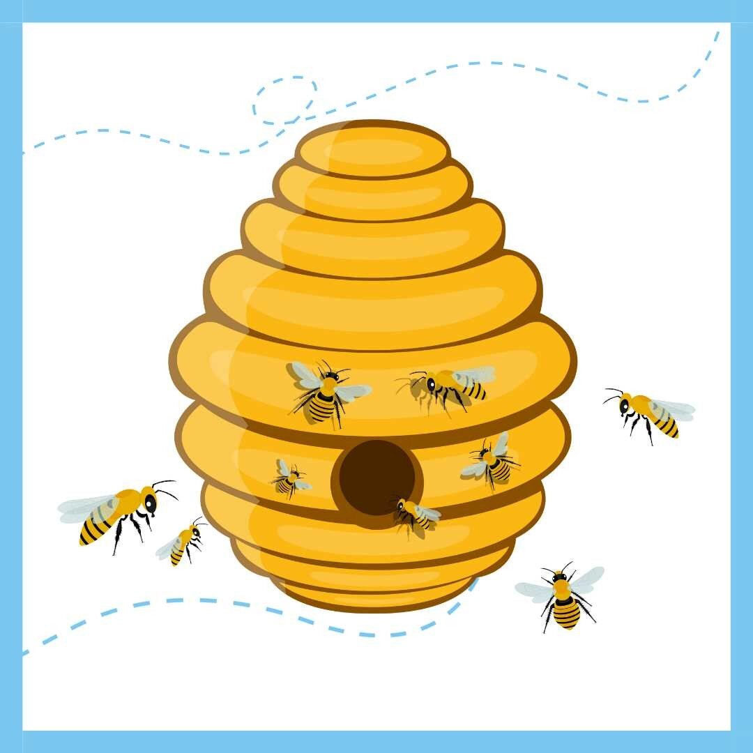The GSL HIVE Community hub 🐝 is a place for participants of our #gslcatalyst programmes to connect, support and share with their GSL friends 🤗 There are daily posts to spark inspiration and provide opportunities to discover all kinds of things that