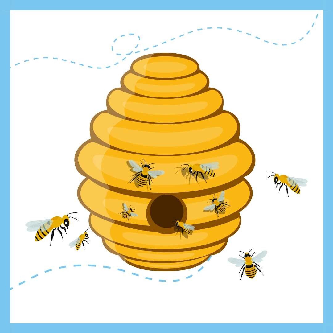 The GSL HIVE Community hub 🐝 is a place for participants of our #gslcatalyst programmes to connect, support and share with their GSL friends 🤗 There are daily posts to spark inspiration and provide opportunities to discover all kinds of things that