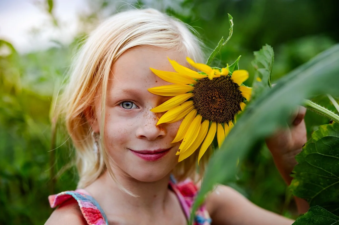 My favorite 🌻 

Honestly, I think sunflower fields are itchy, buggy, and hot. But this girl looks pretty cute in one.
.
.
.
.
#chasingthelight #sunflowergirl🌻 #stlfamilyphotographer #childhoodmagic