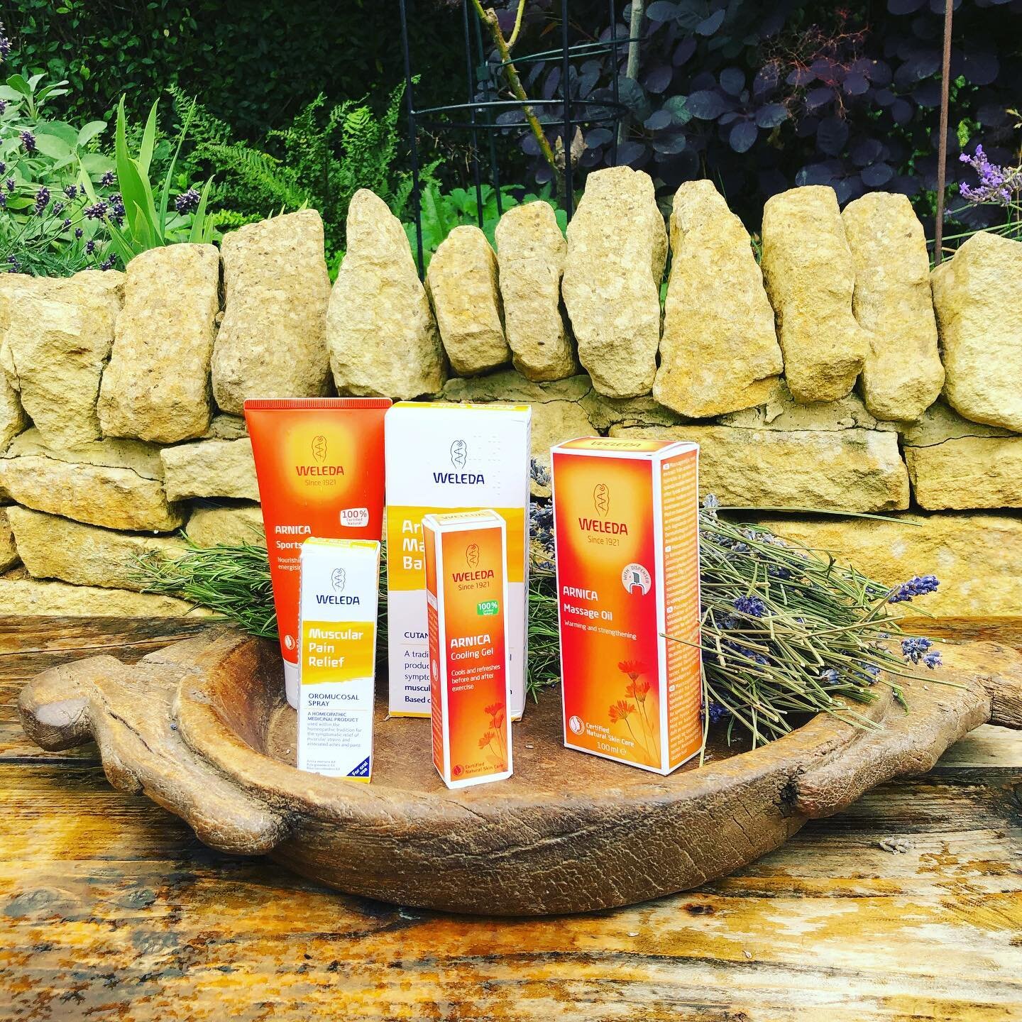 The Magic of Weleda&rsquo;s Arnica grown Biodynamically up on the Black Isles Scotland.I have been learning so much about this incredible medicinal plant with its bounce back properties of how it helps our Wellness. Join me tomorrow for my Arnica Wor