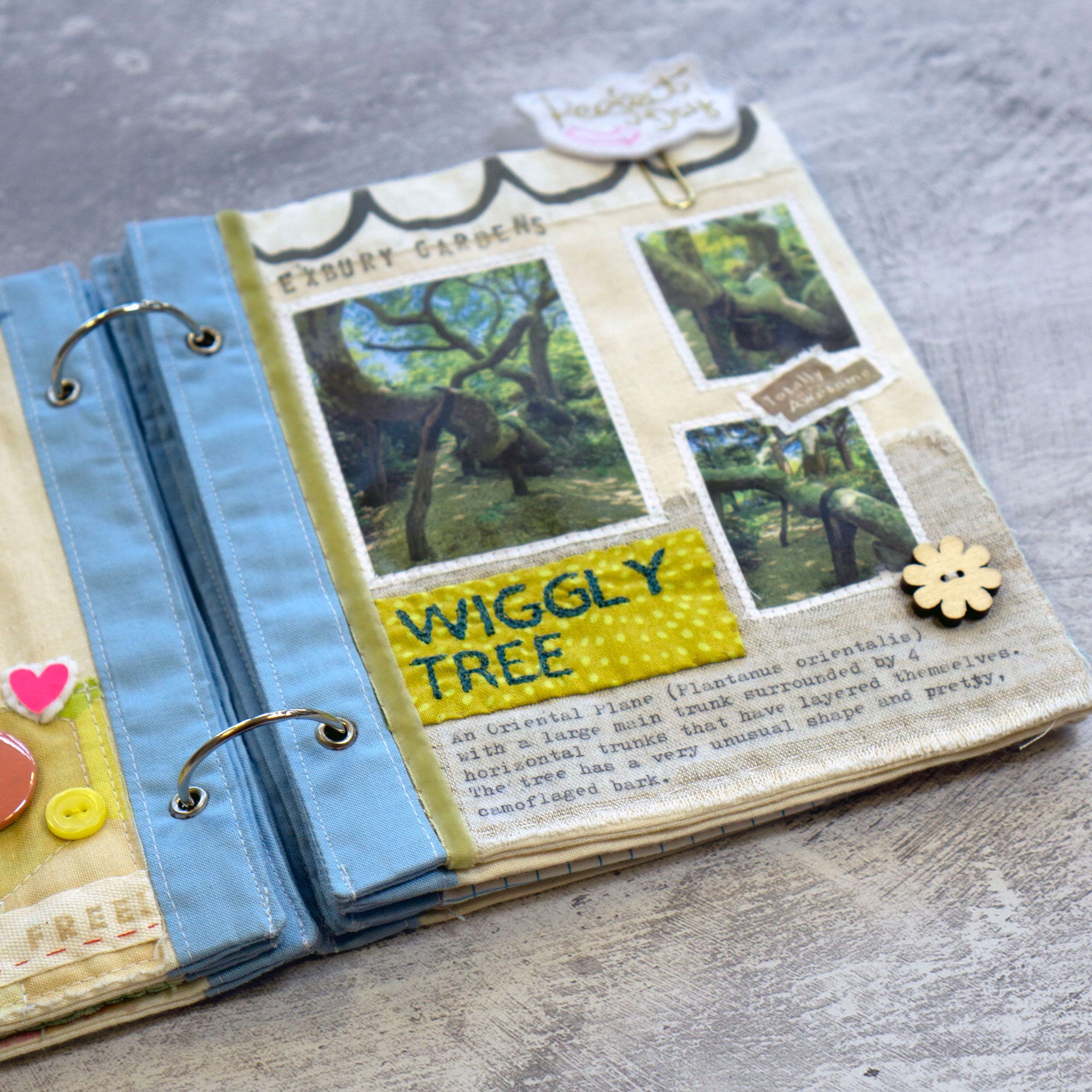 Wiggly-Tree-Exbury-Gdns.jpg