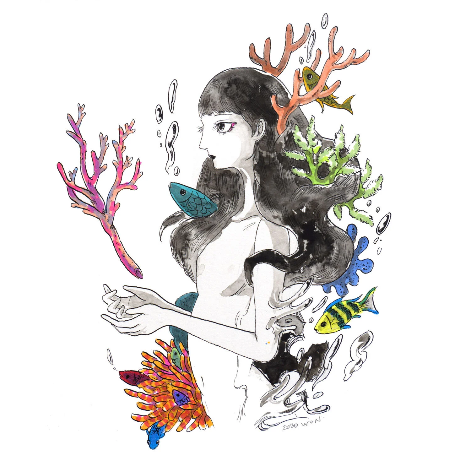 Coral