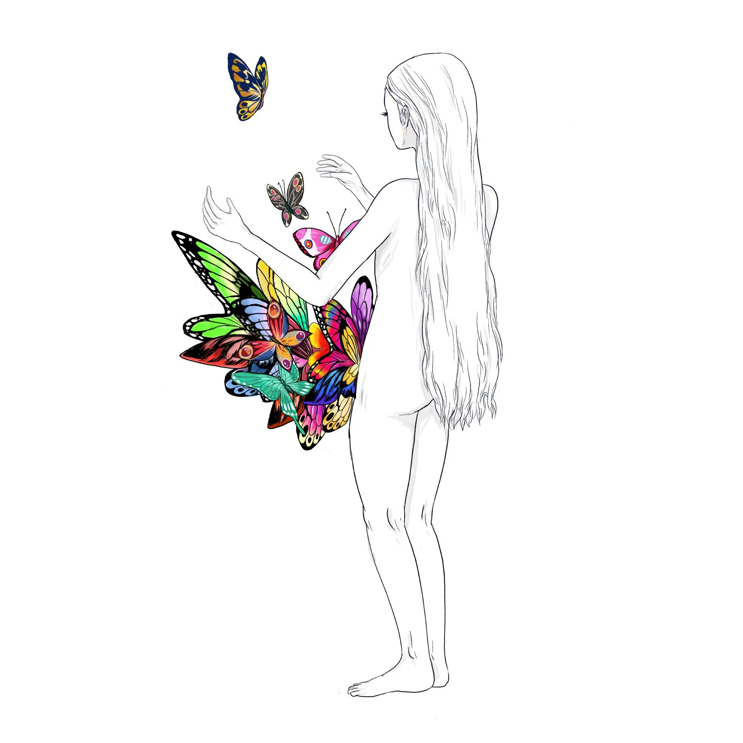 Butterfly 