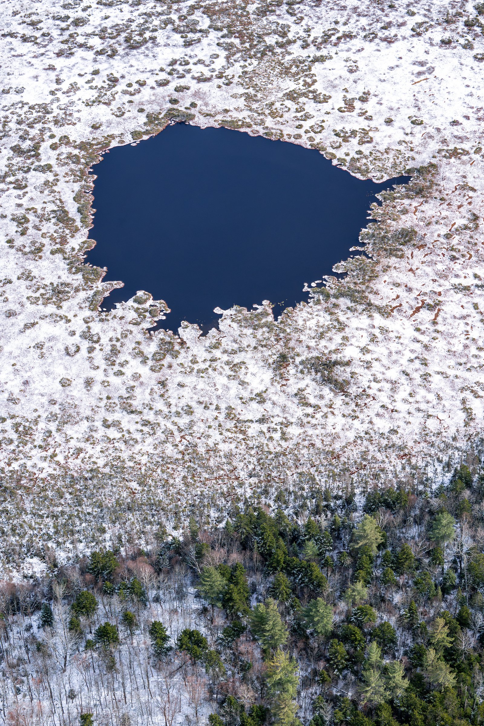 Artist Talk – Northern Peatlands Exhibition