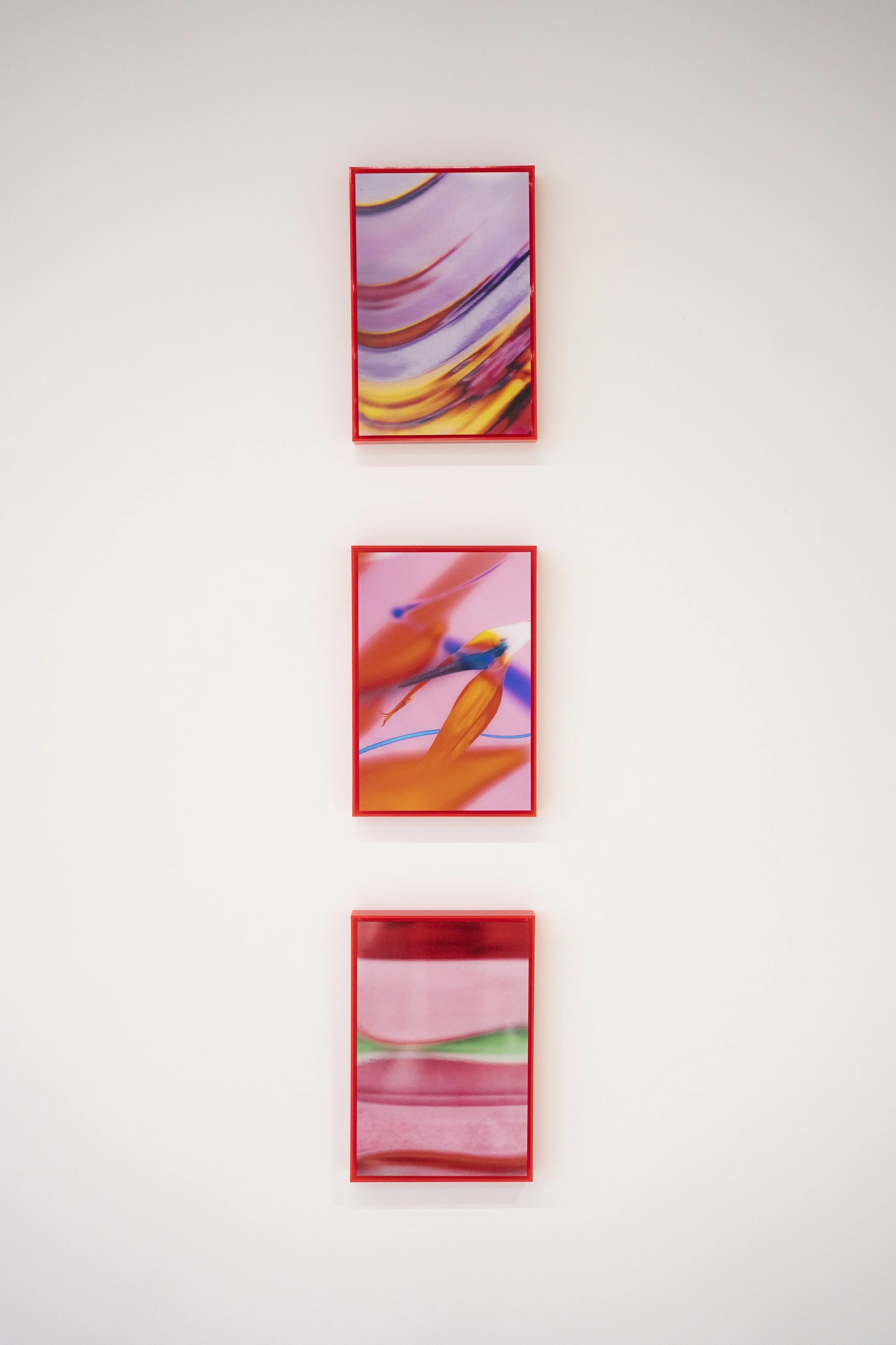 Lieke Marleen van Kalken_RED_67.JPG