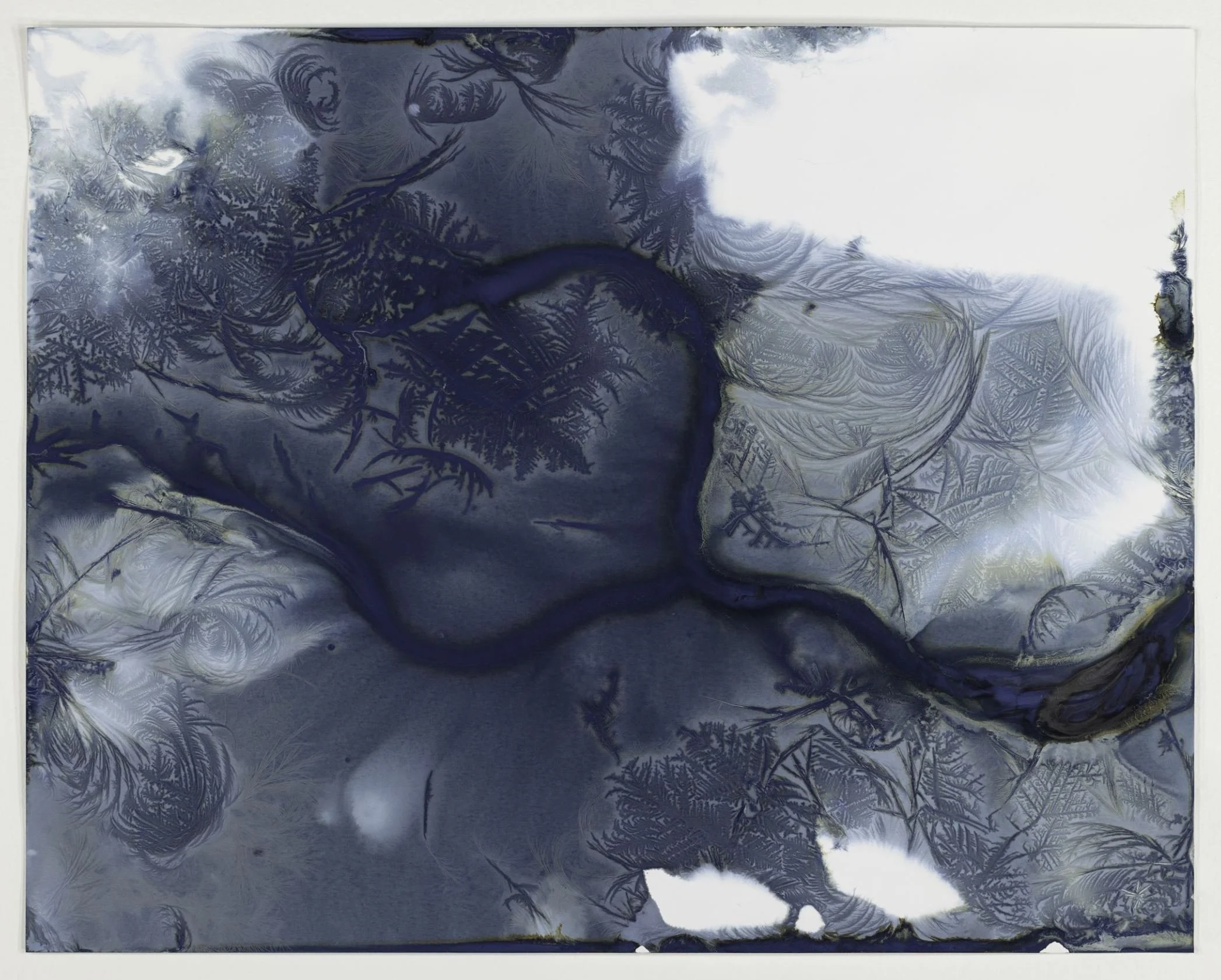 Private Visit with Meghann Riepenhoff at Jackson Fine Art