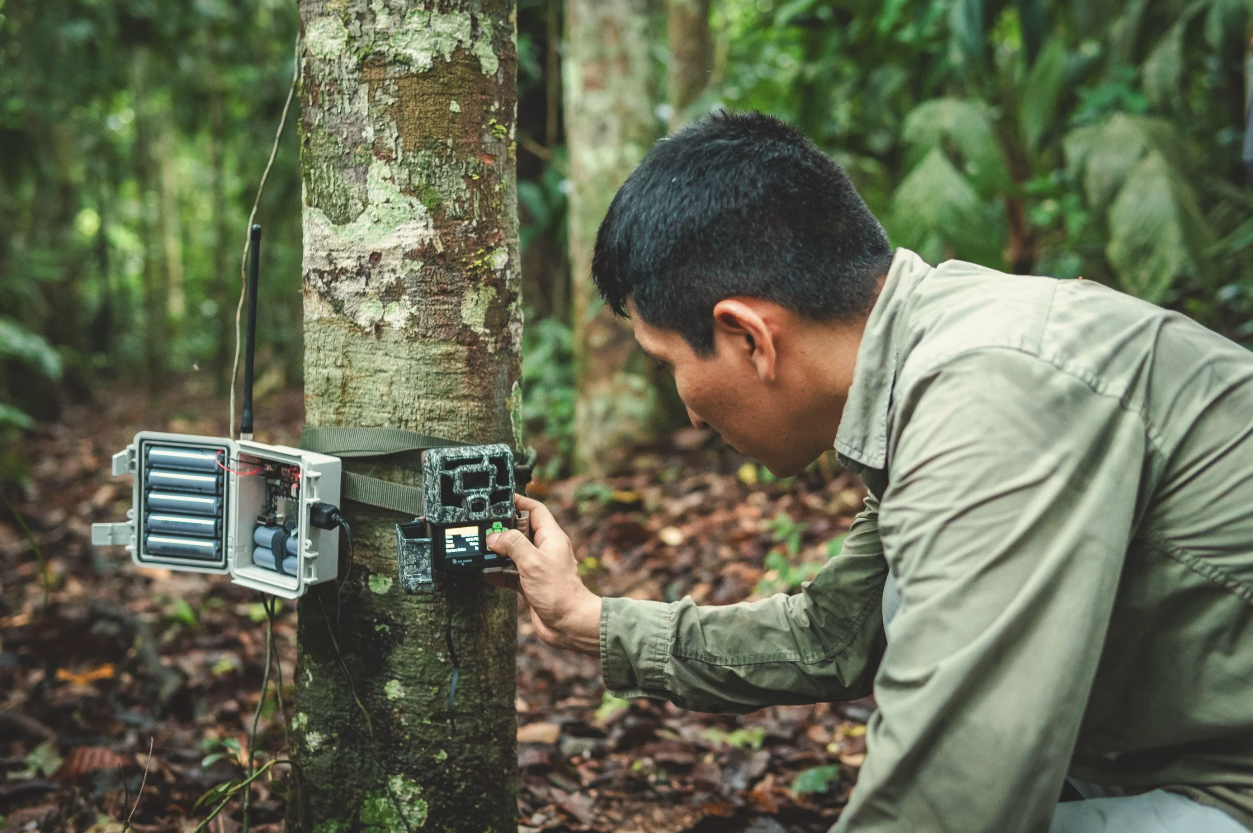 Building the Technical Foundations of an Interspecies Internet