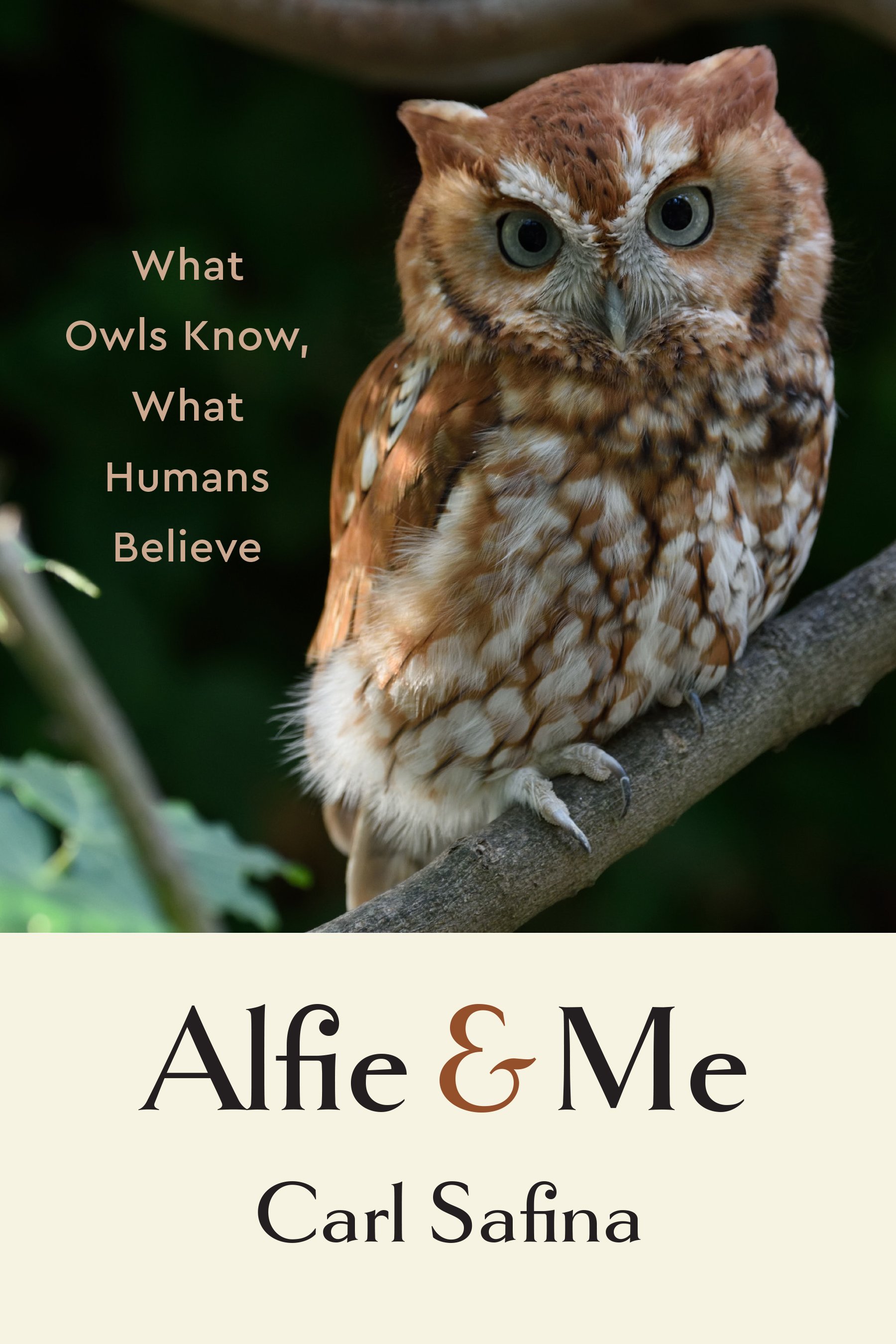 Alfie & Me Book Cover (1).jpg